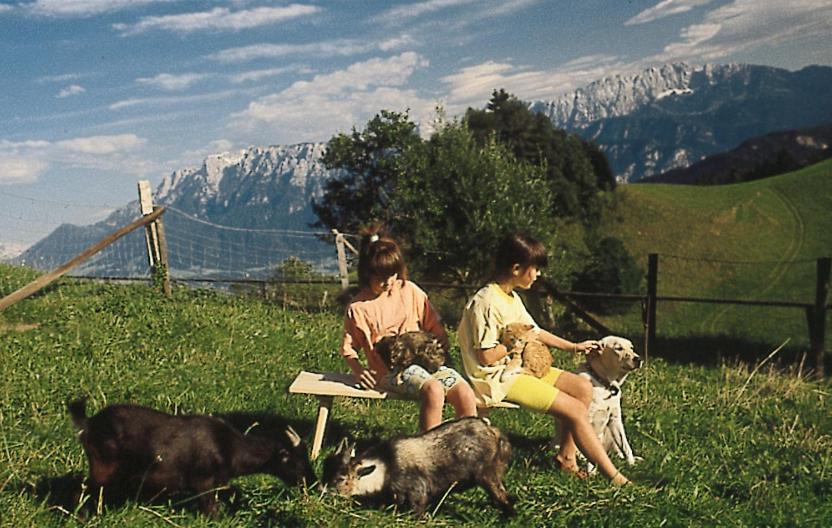 Berggasthof Bichlersee