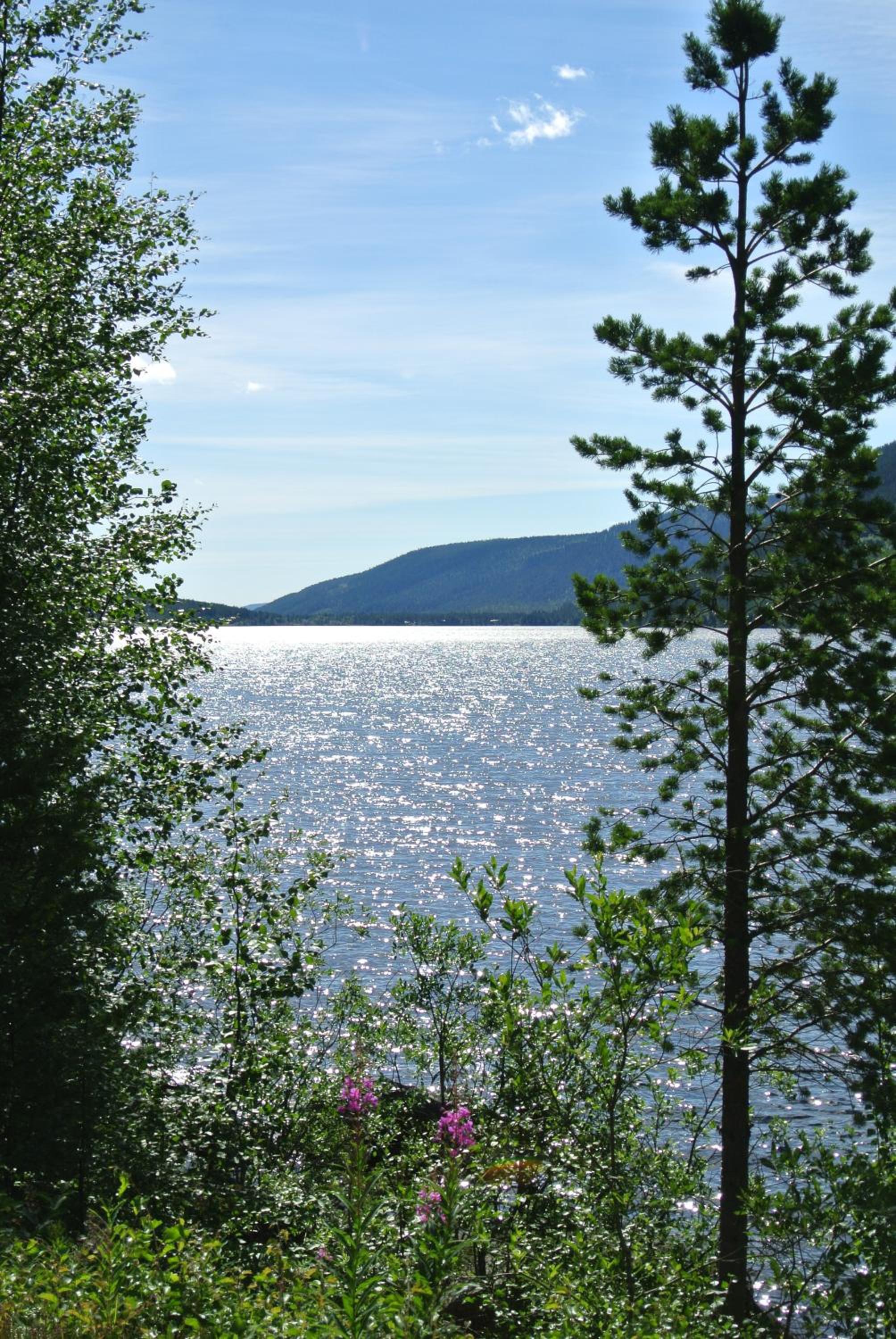 Photo 41