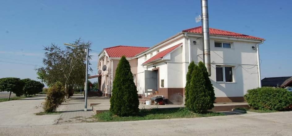 Photo 20