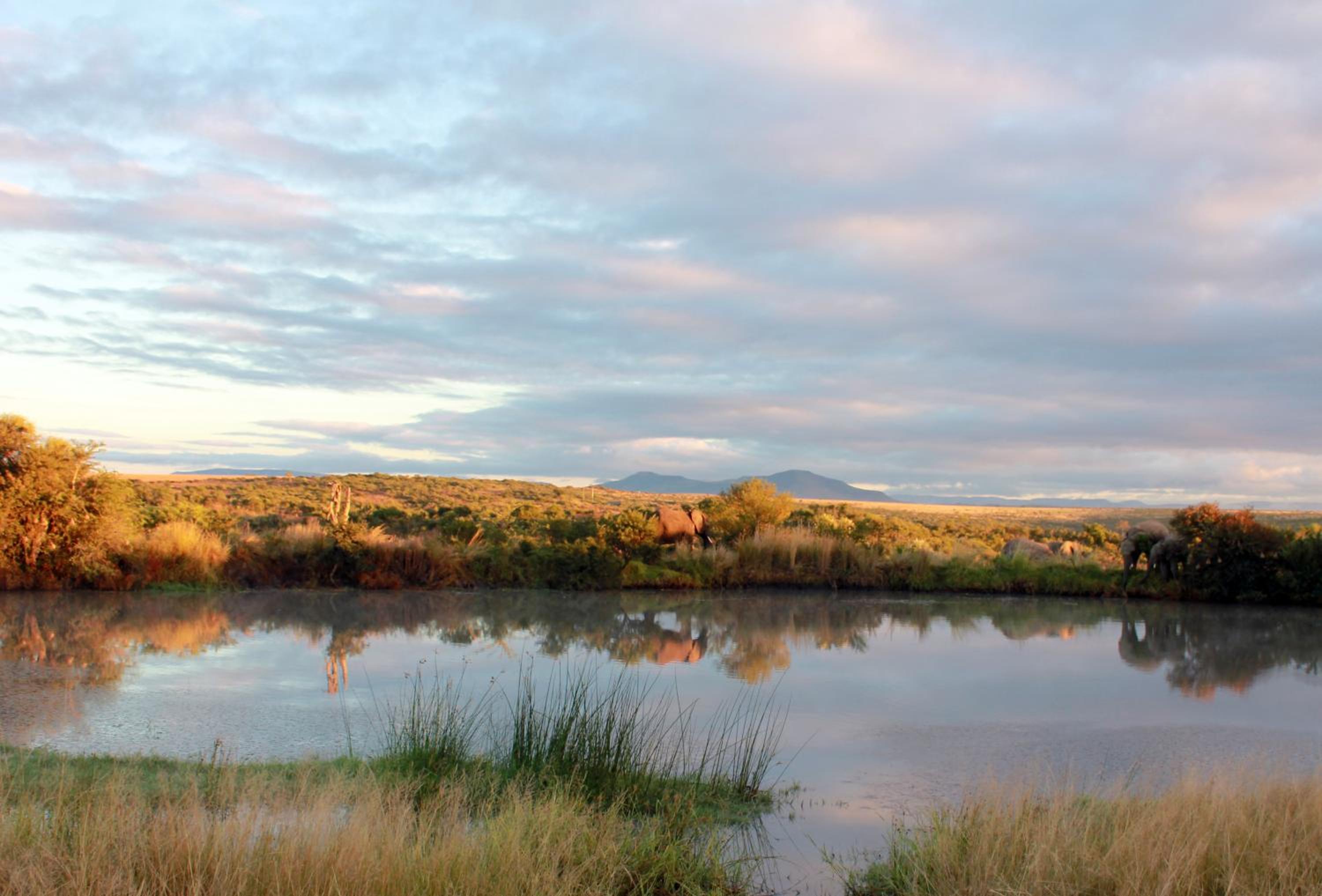 Umzolozolo Private Safari Lodge & Spa