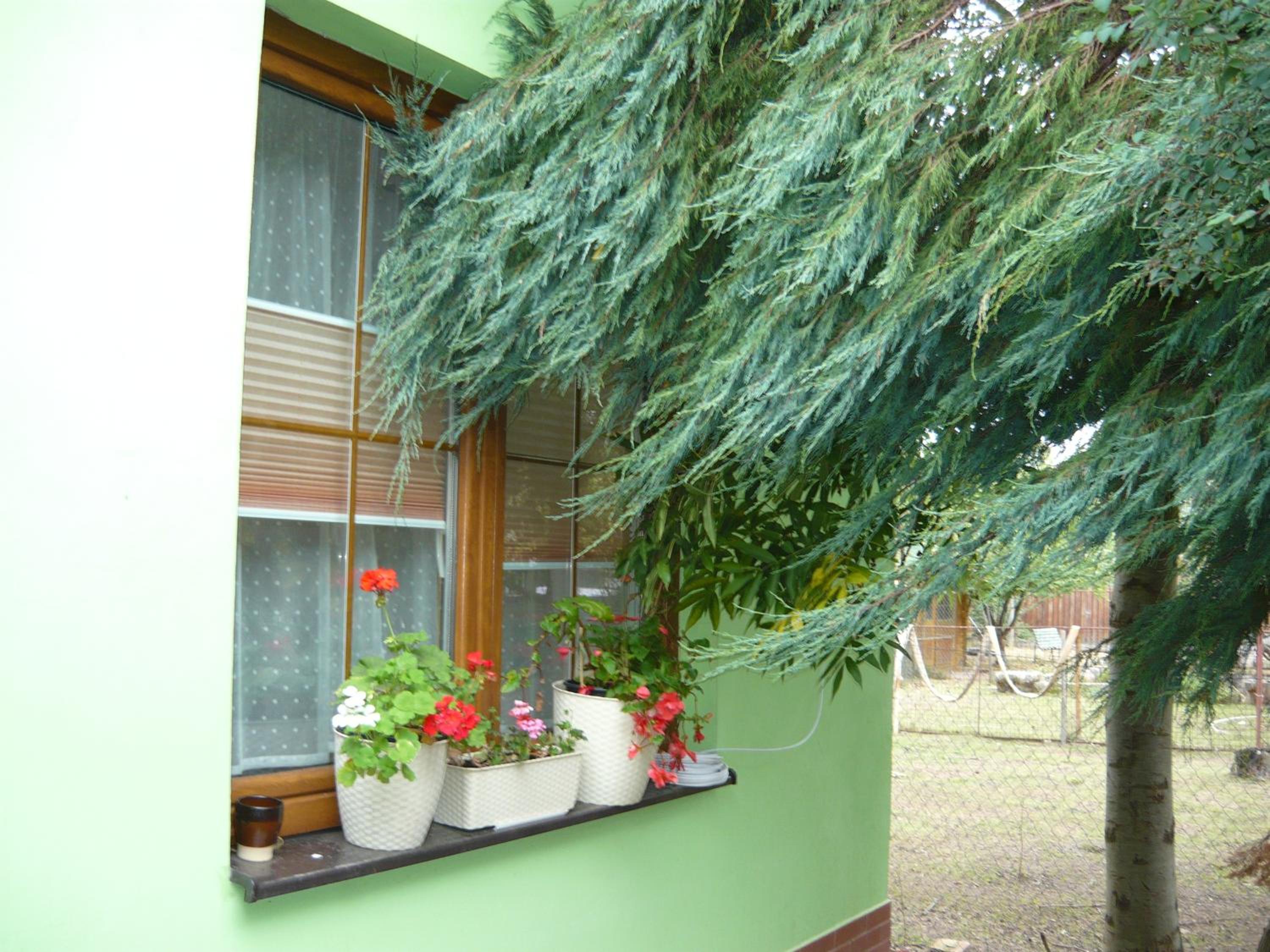 Apartments - Penzion Lena