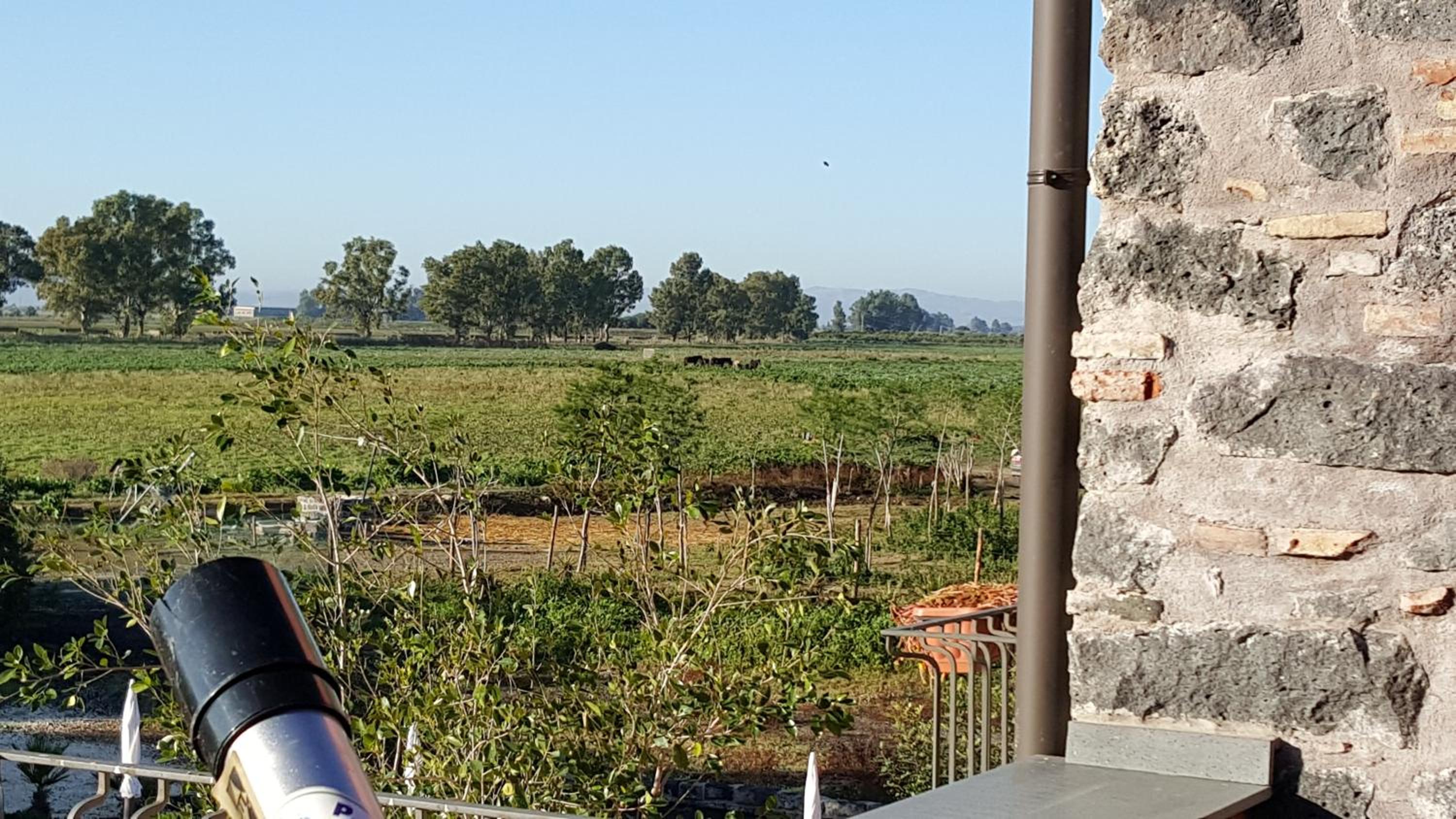 Oasi Di Francesca