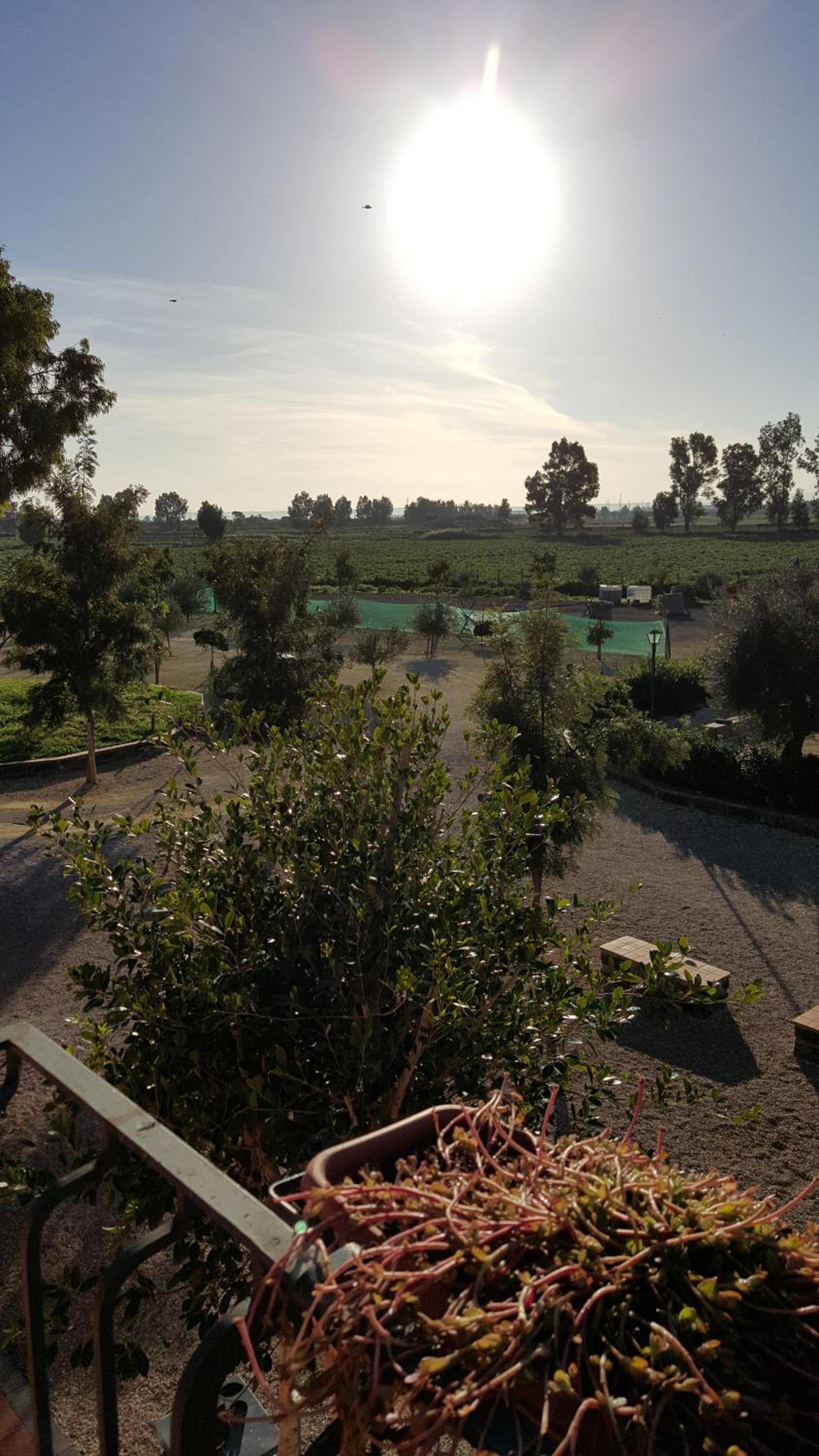 Oasi Di Francesca
