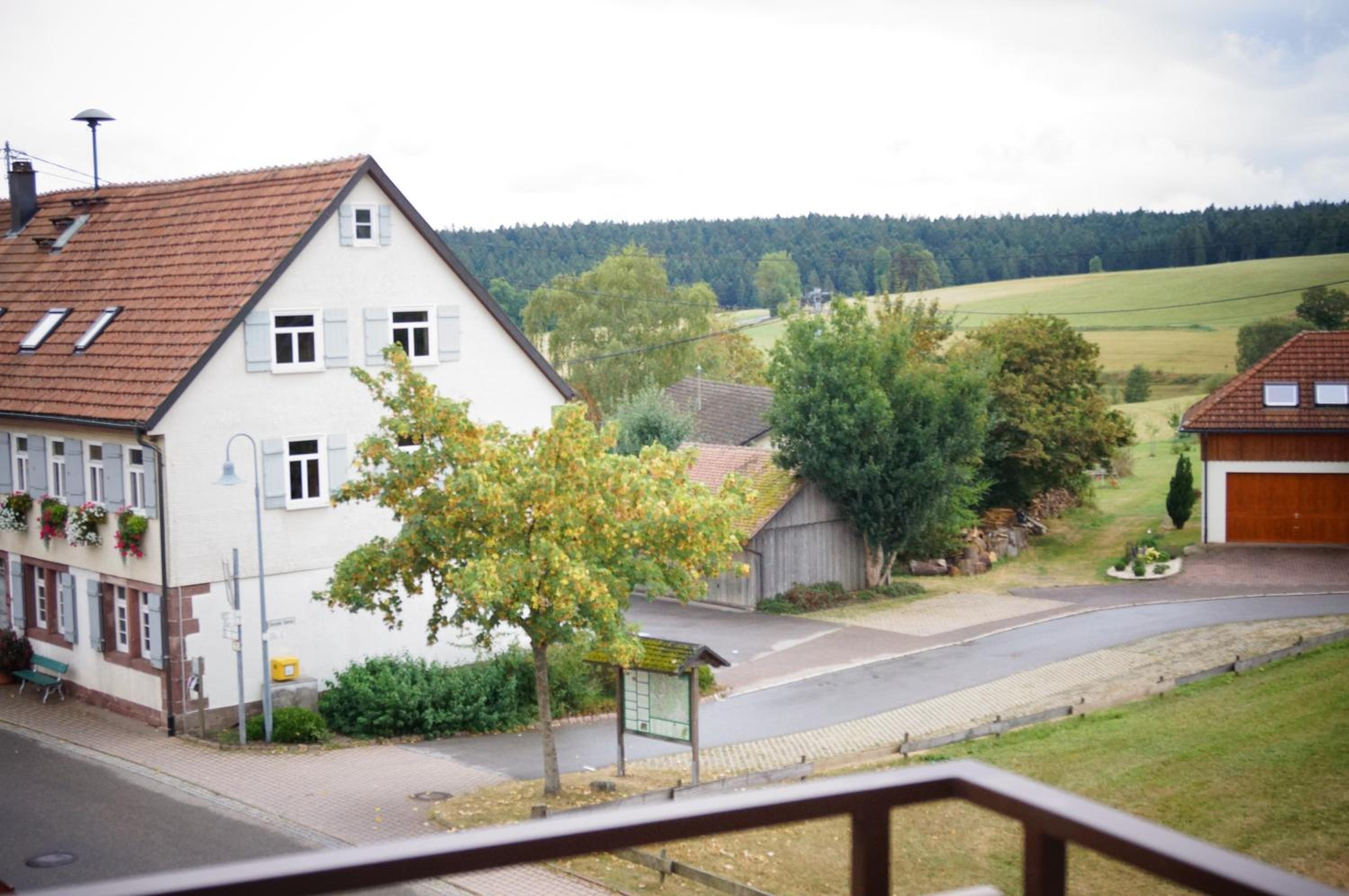 Photo 43