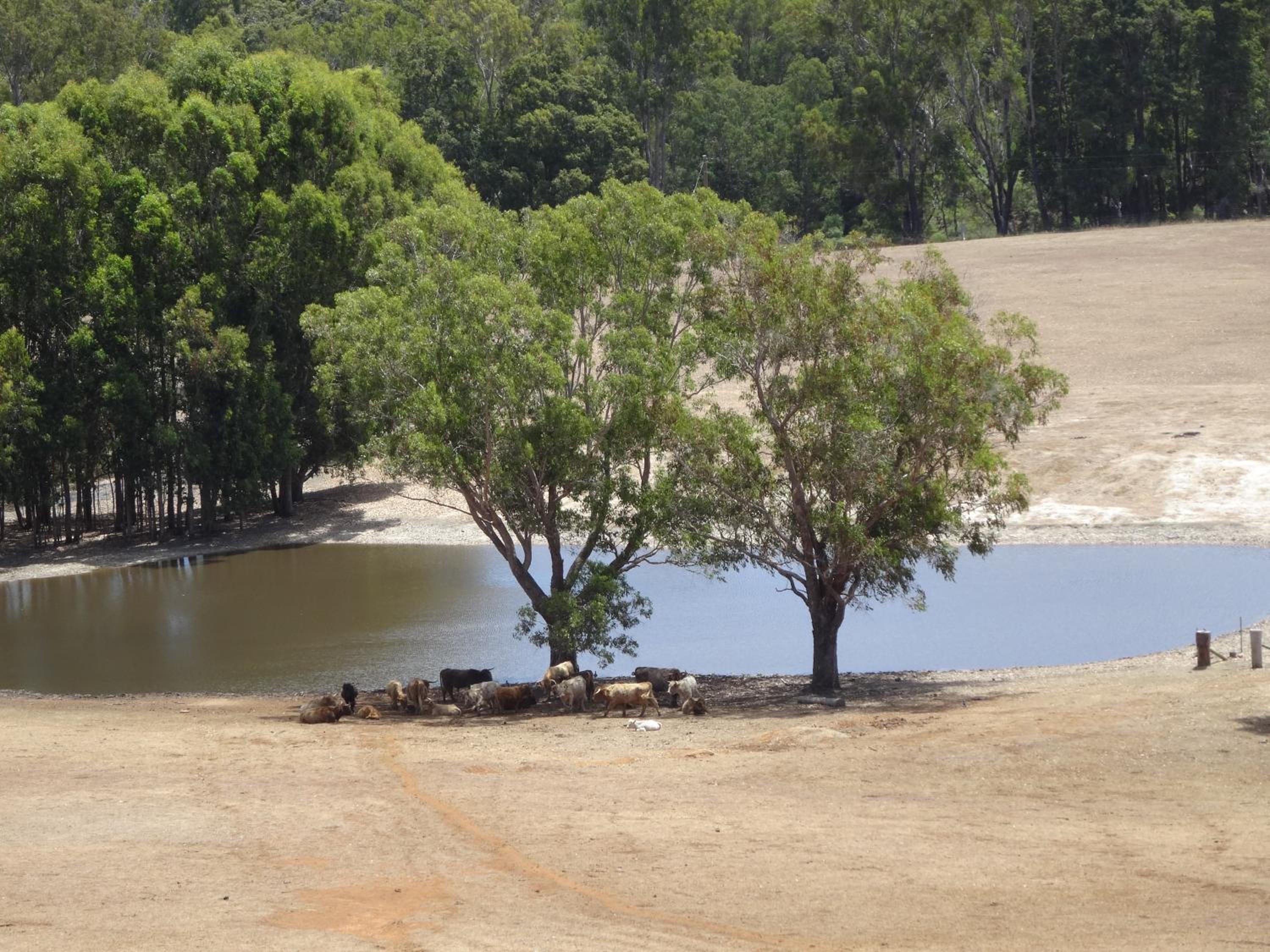 Jarrah Glen Cabins