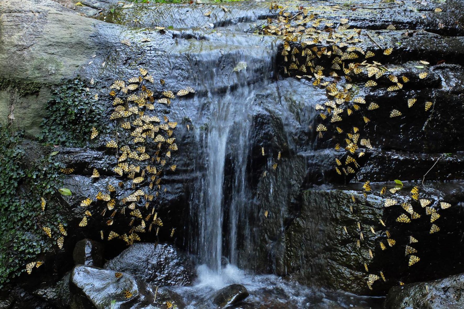 Chacra del Agua Reserva Privada