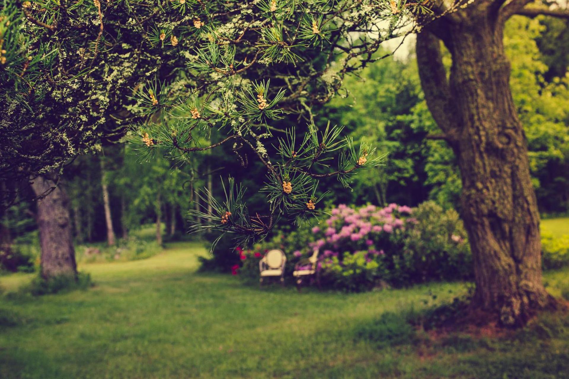 Adami Country Guesthouse