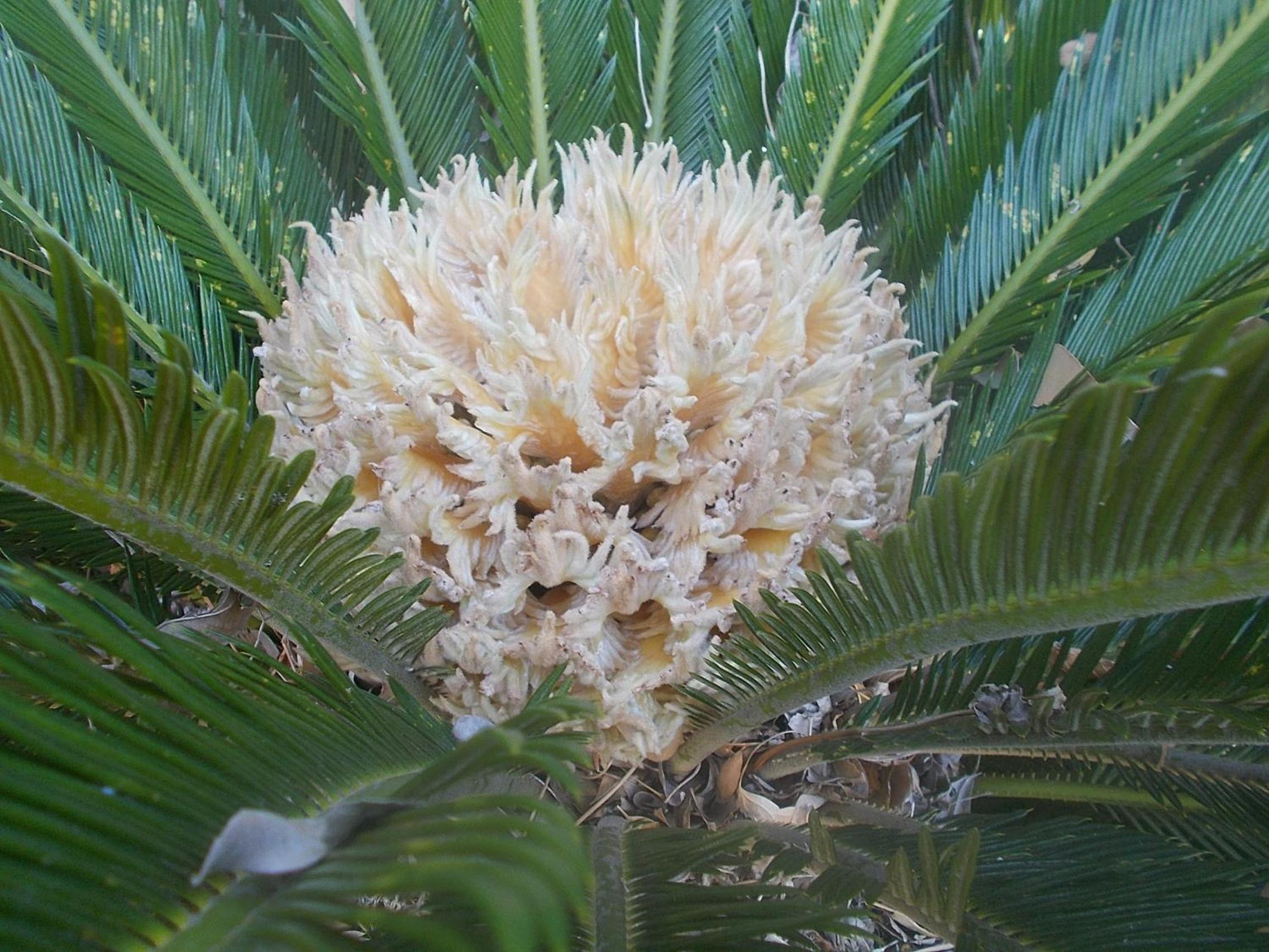 Photo 20