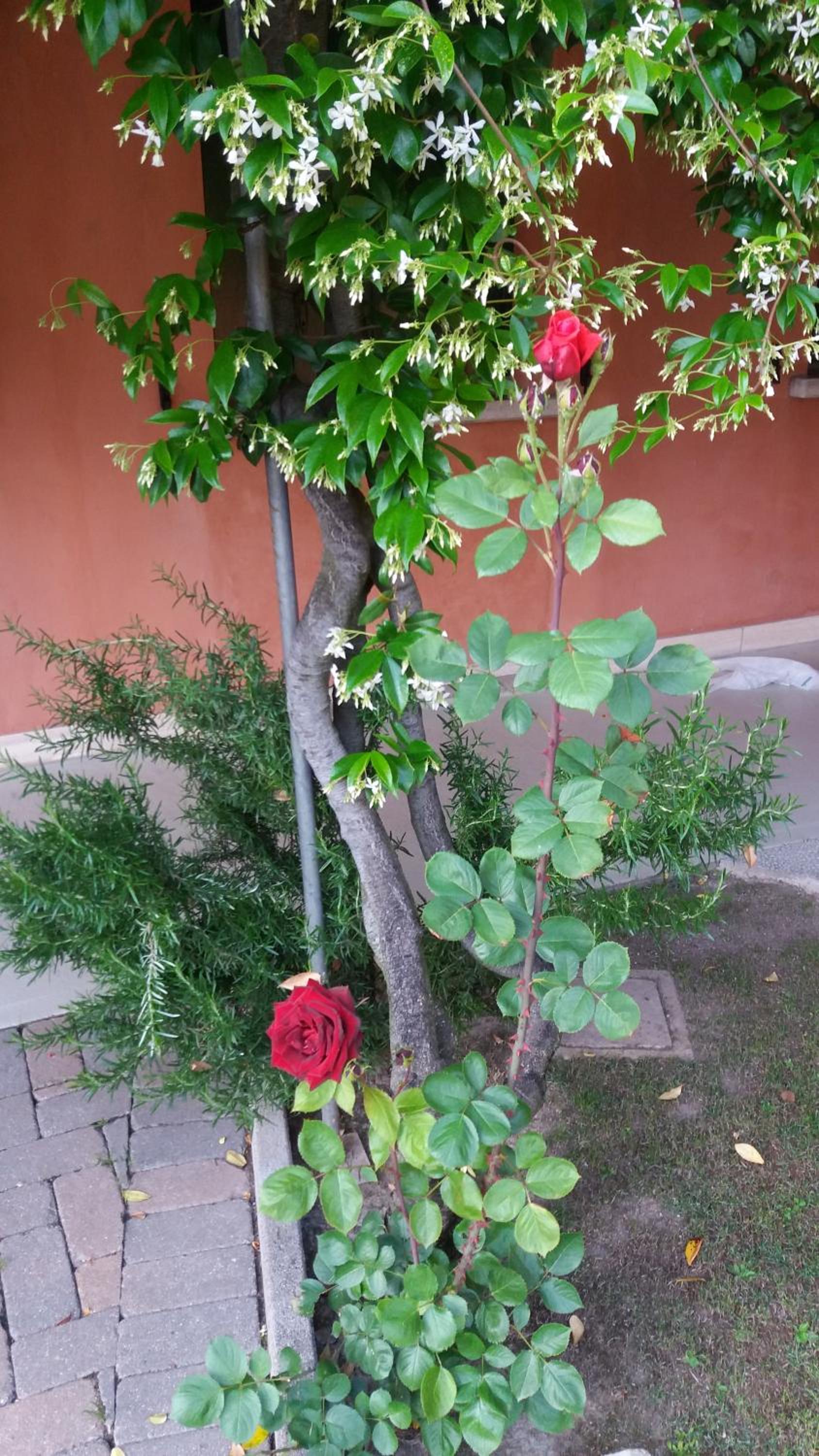 Photo 62
