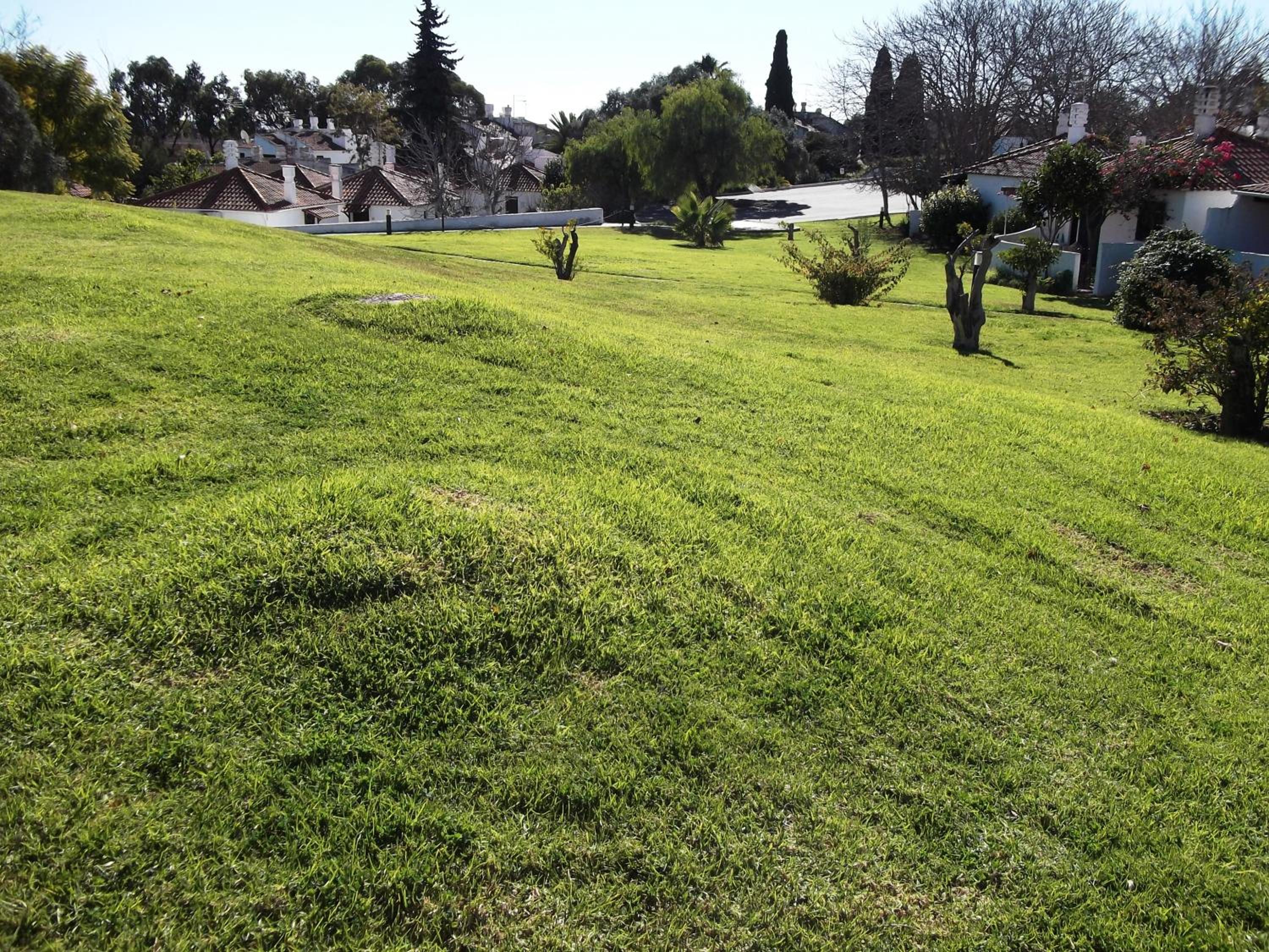 Pedras del Rei, Nature and Beach Apartment view 2
