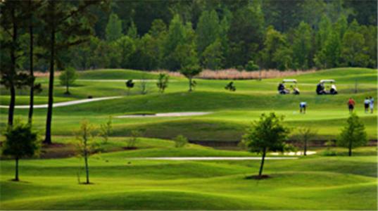 golf