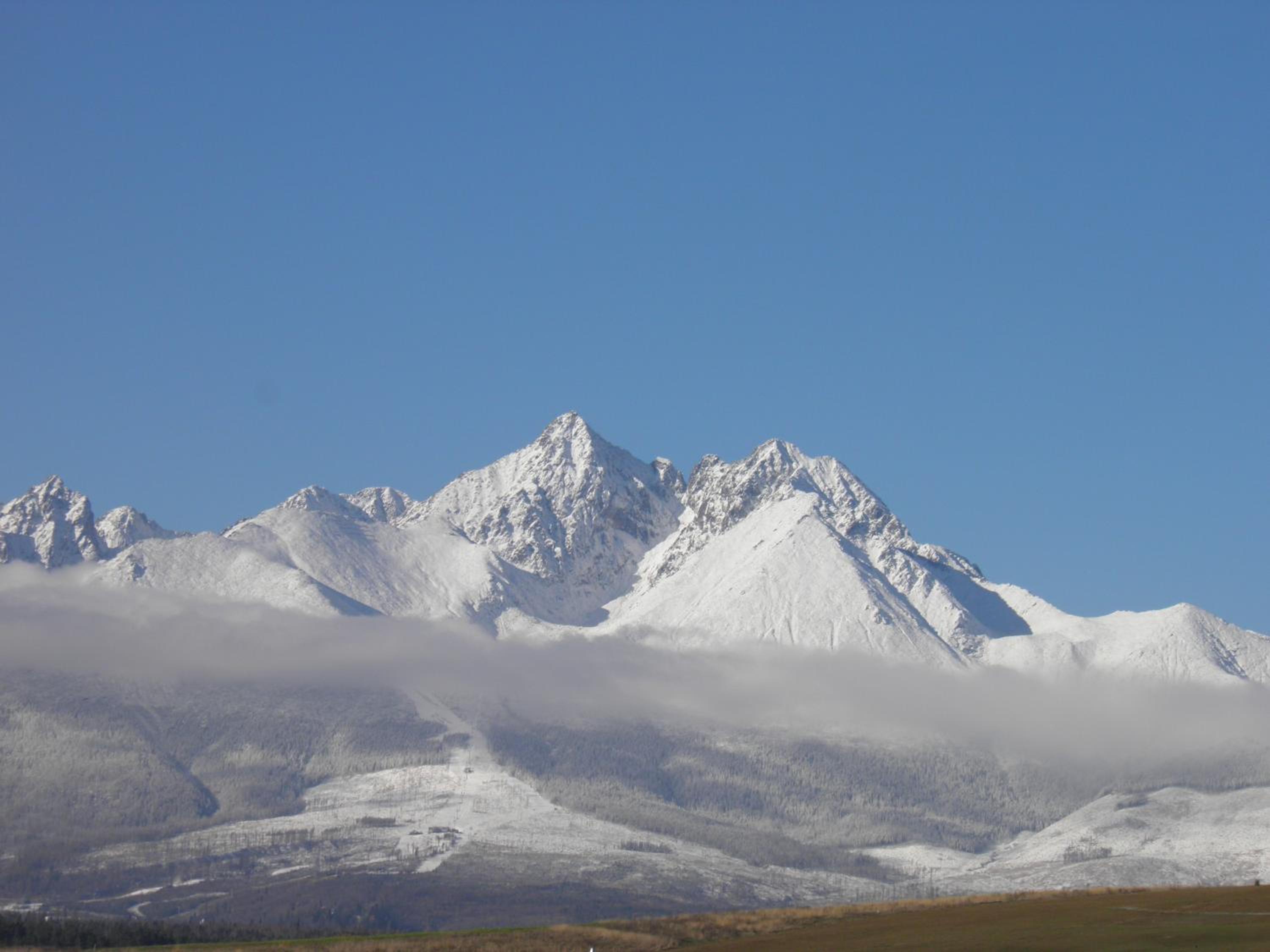 Photo 39