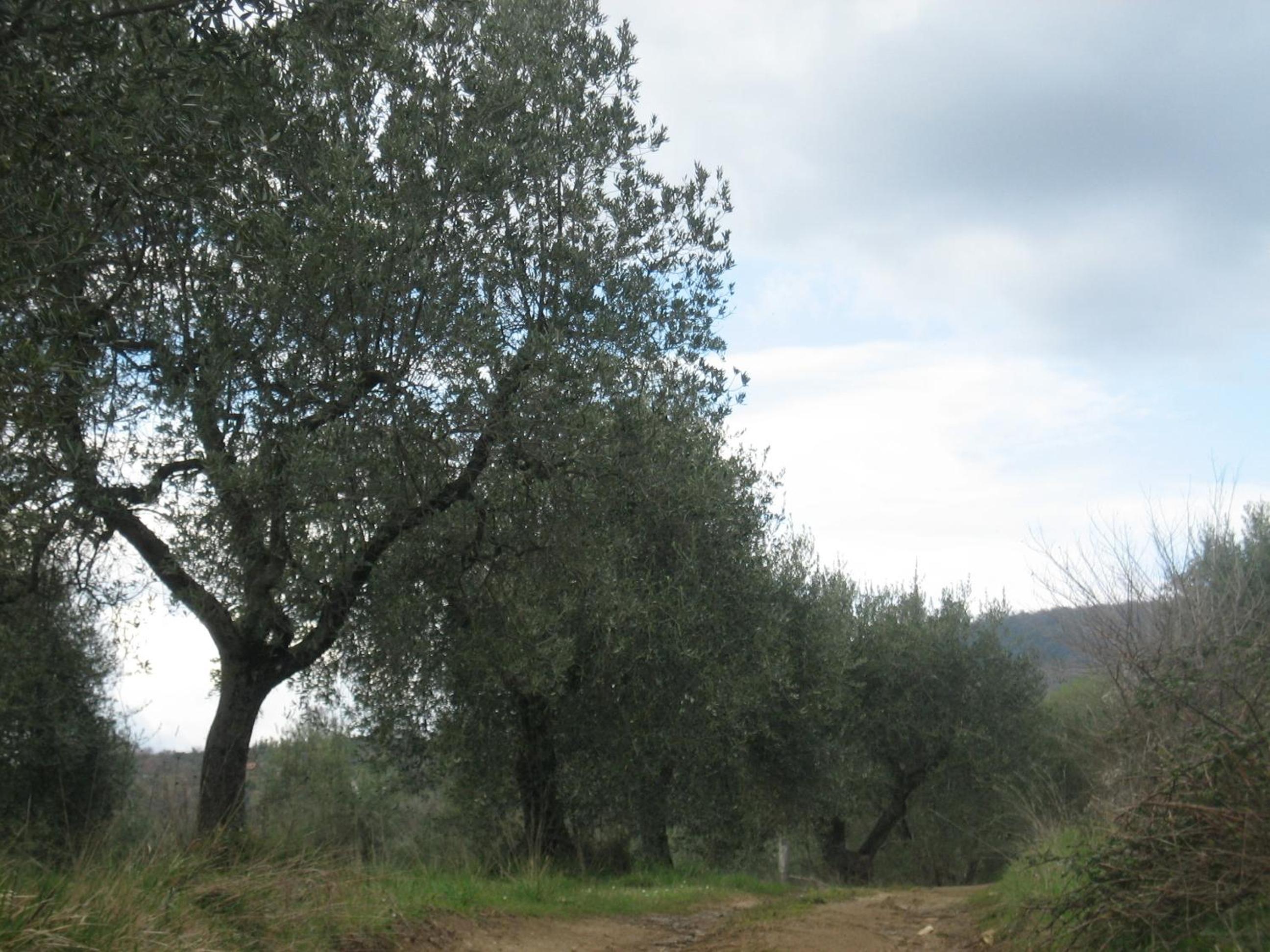 Agriturismo Casa Fibbianello