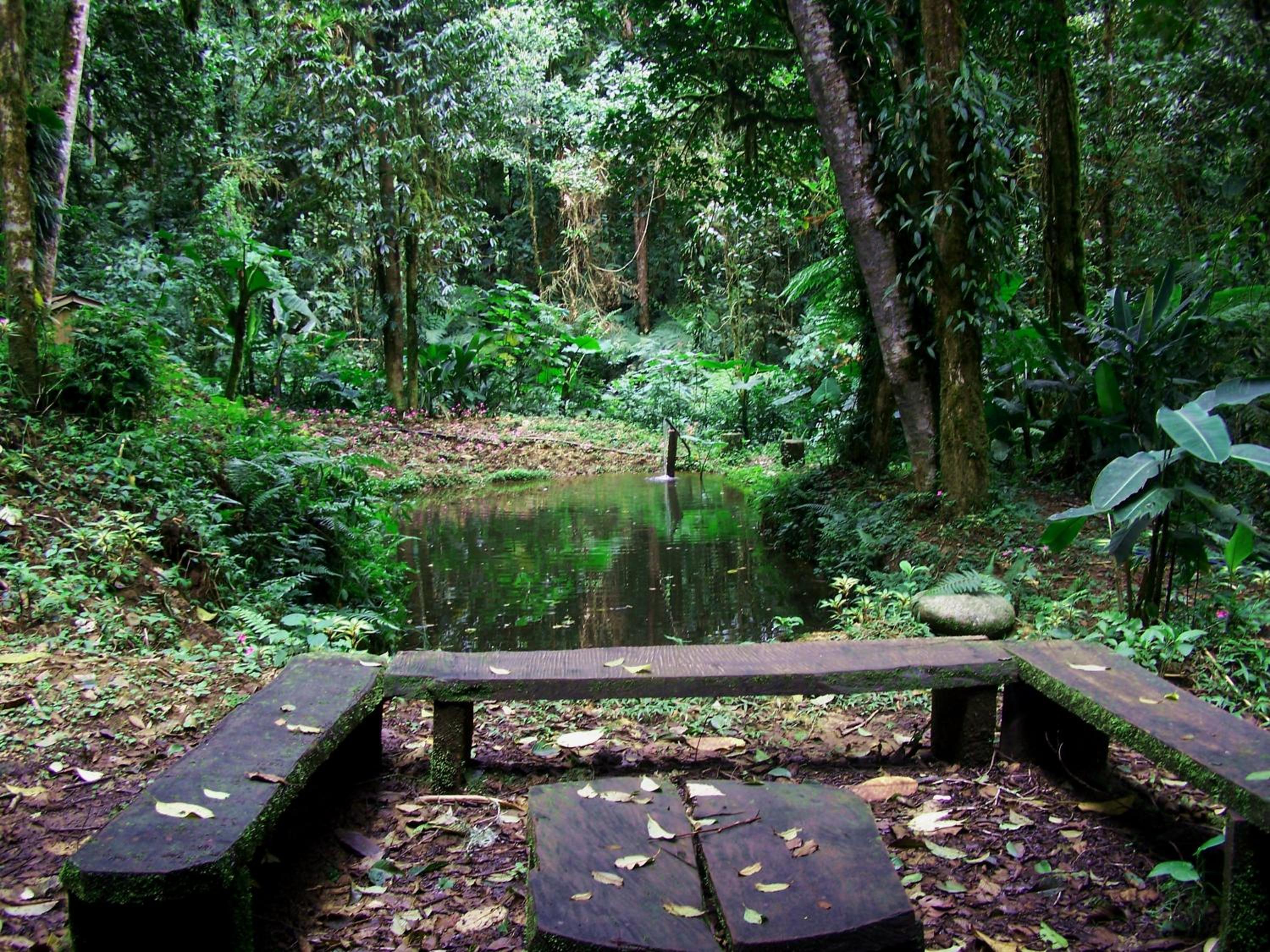 Reserva Natural Cerro Alto