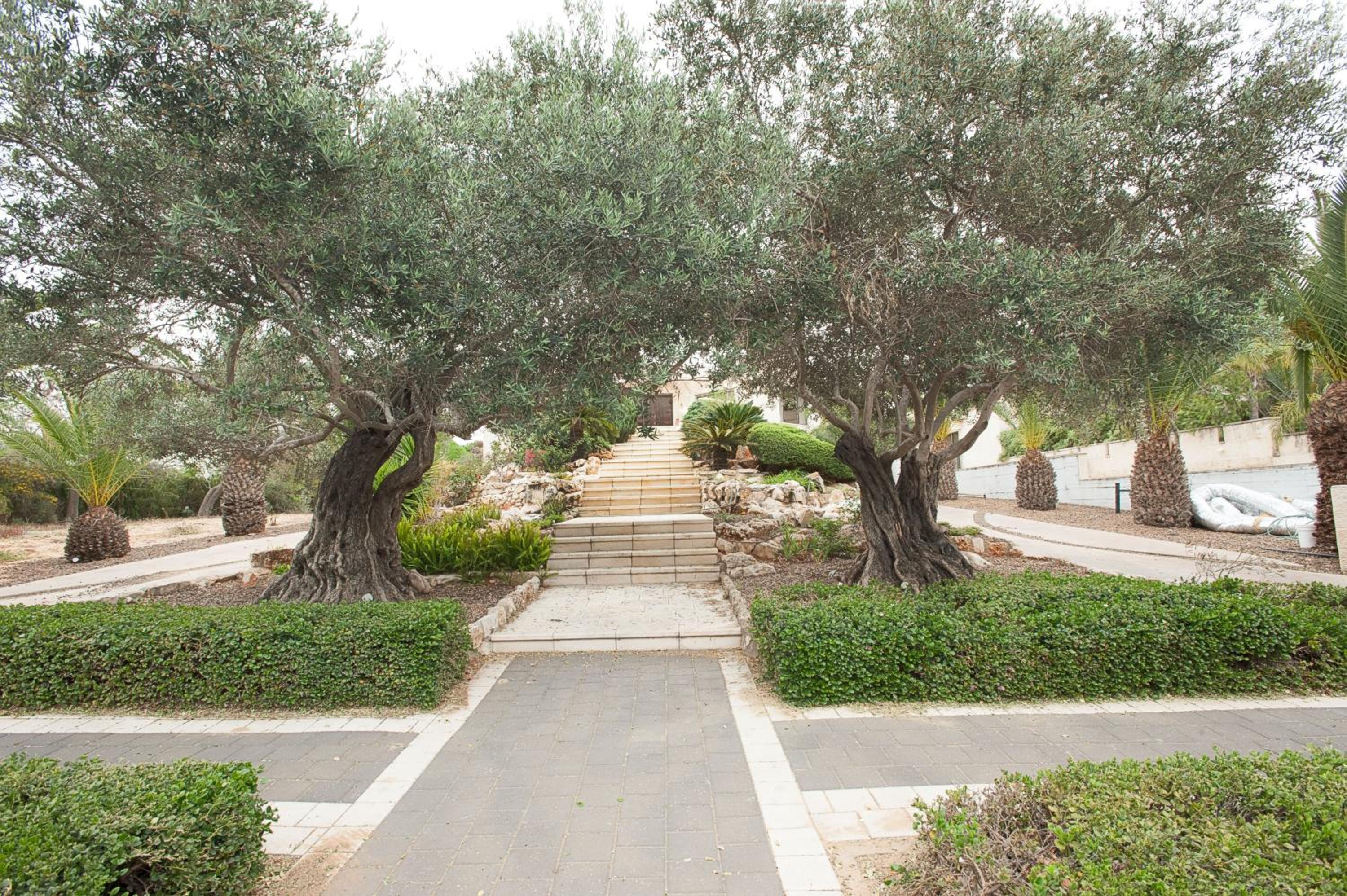 Romantic suite in Caesarea view 4
