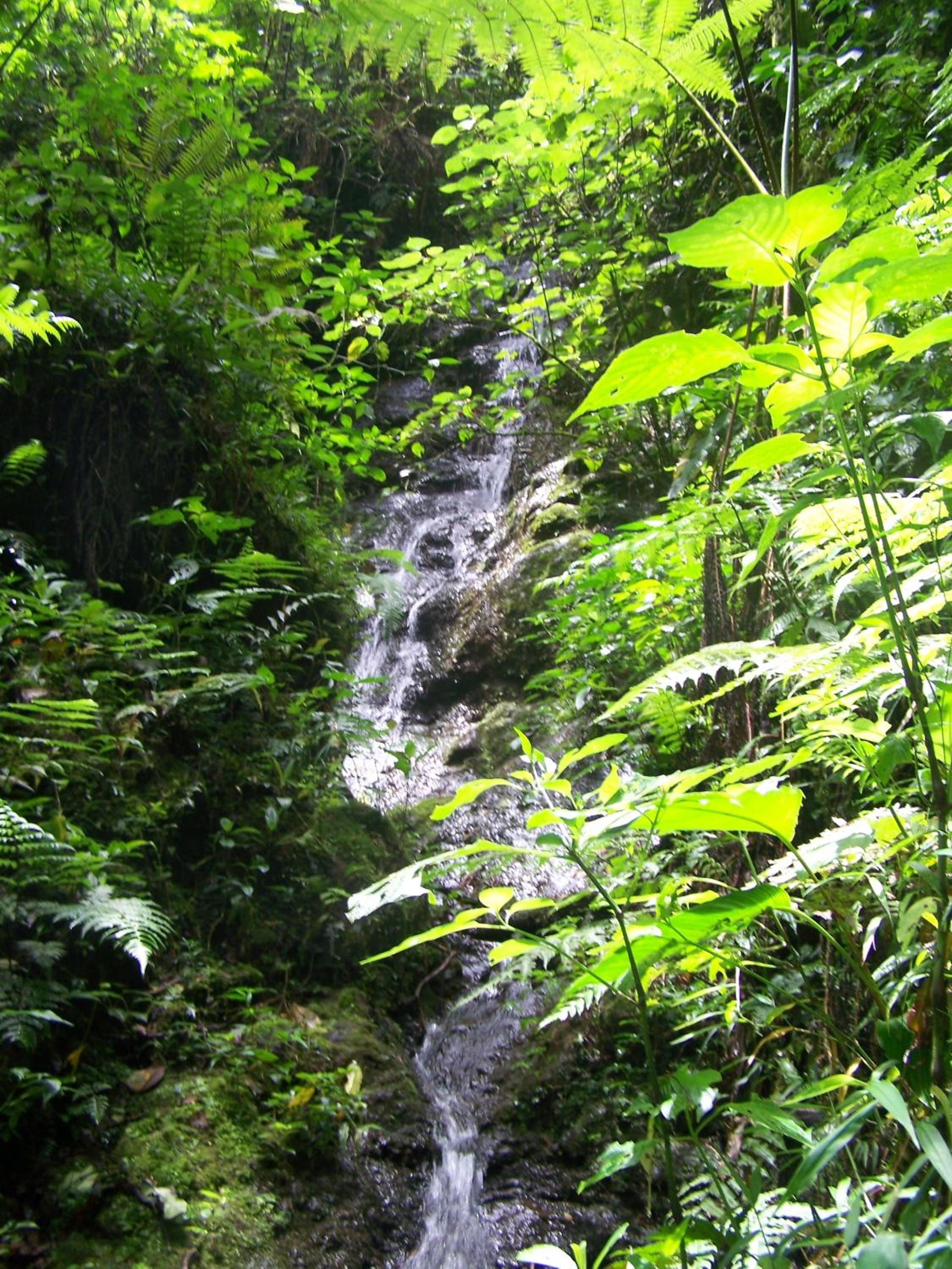 Reserva Natural Cerro Alto