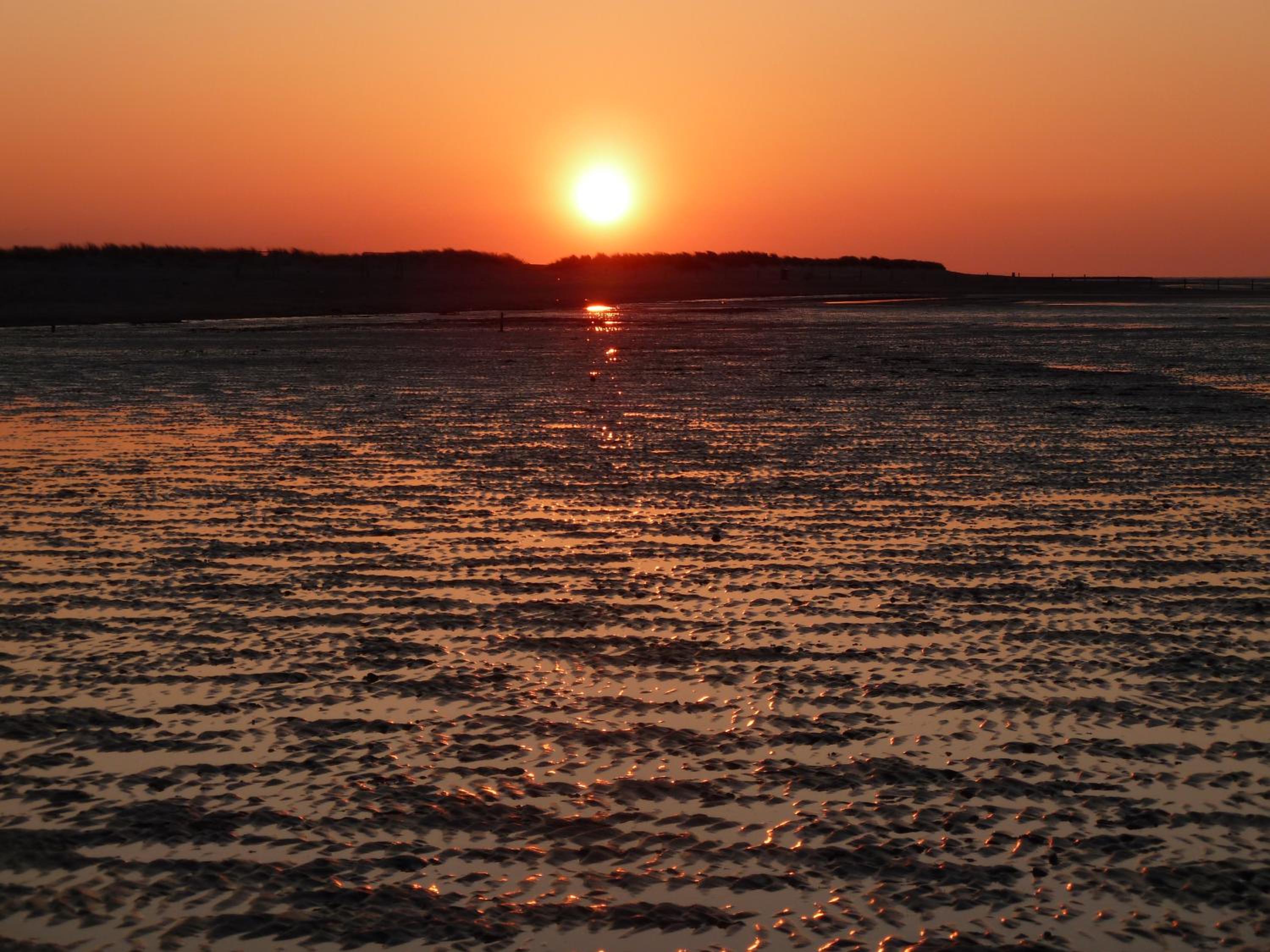 Wangeroogeweg 5a