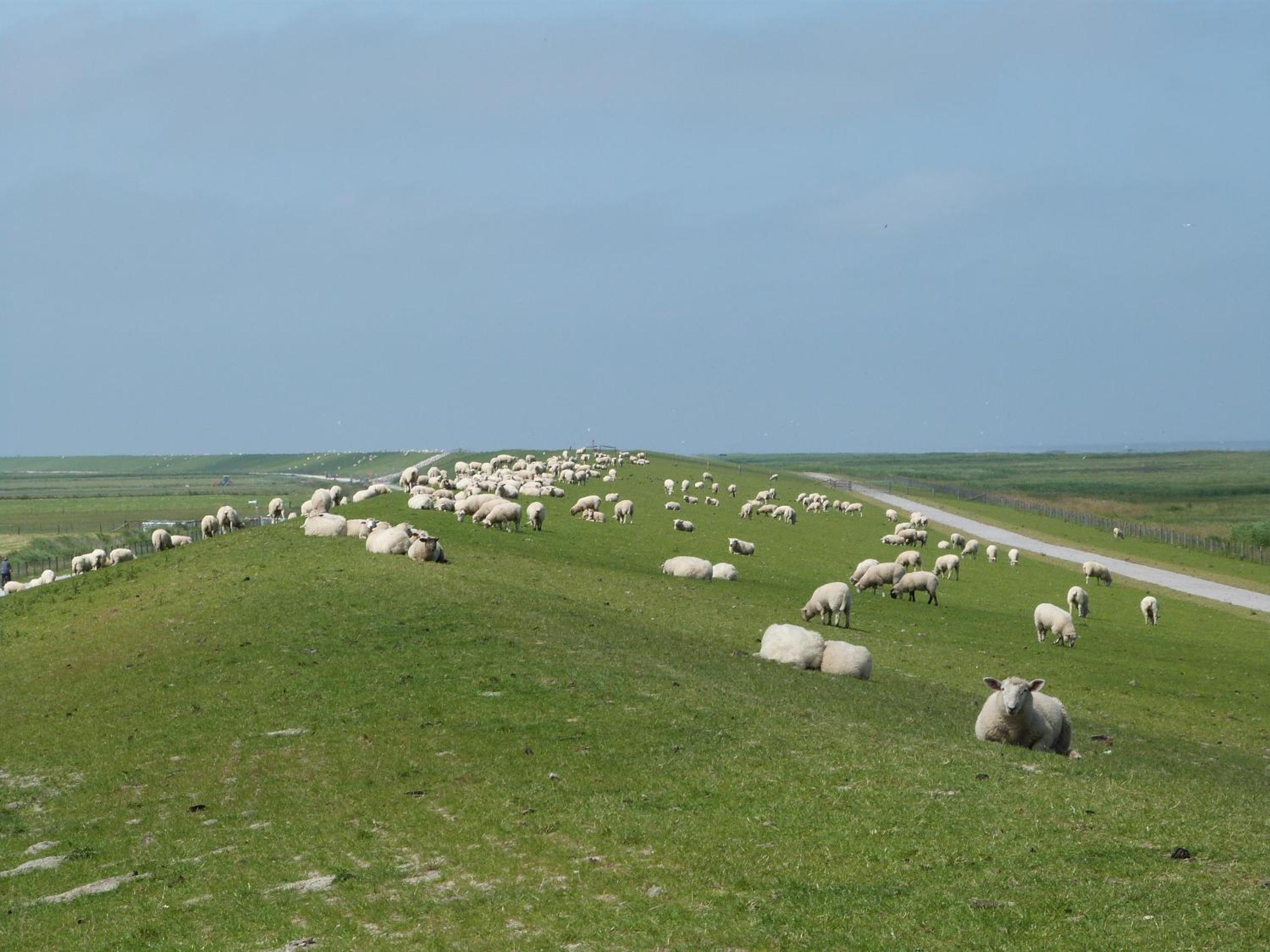 Wangeroogeweg 5a