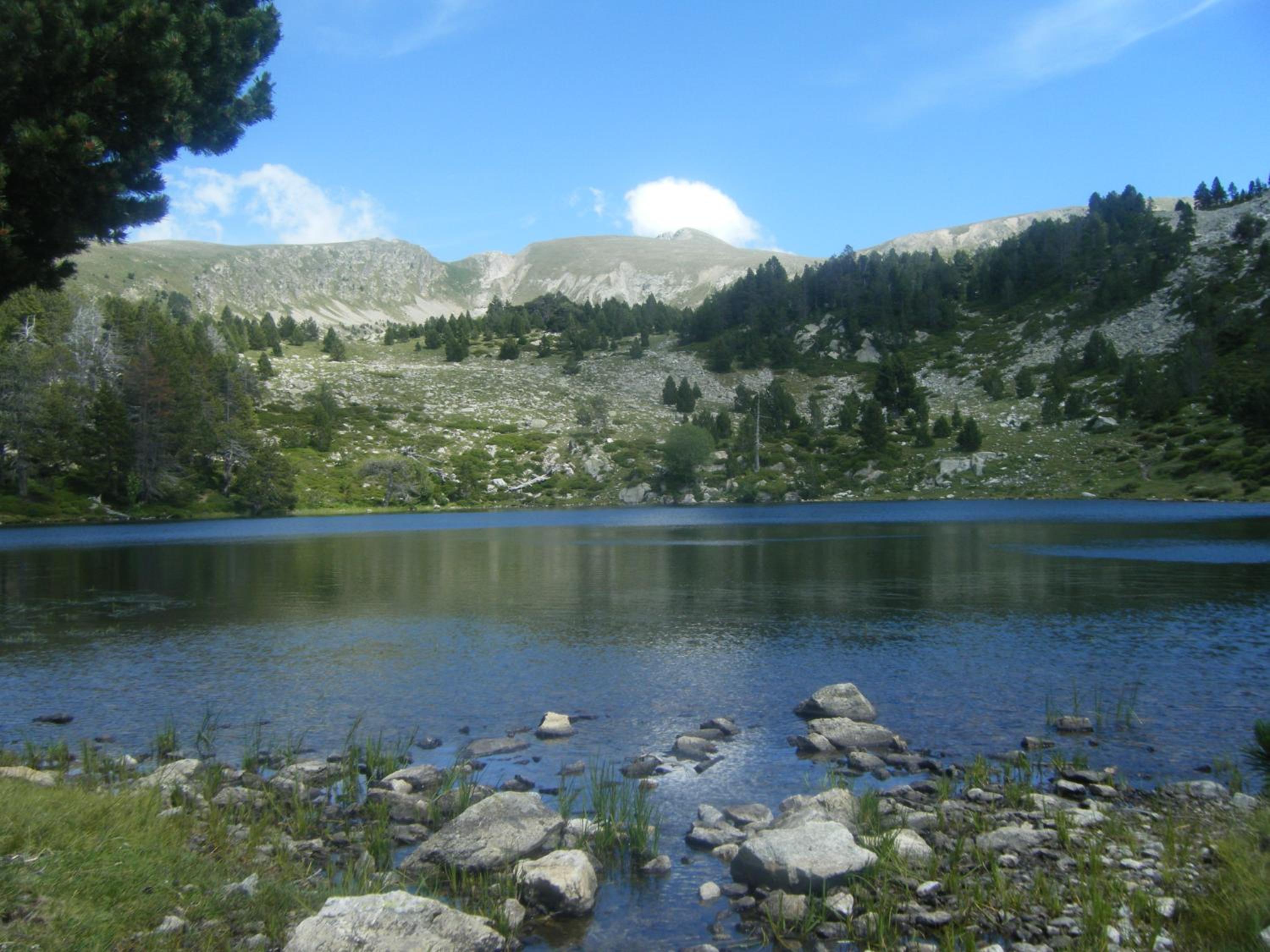 Photo 23