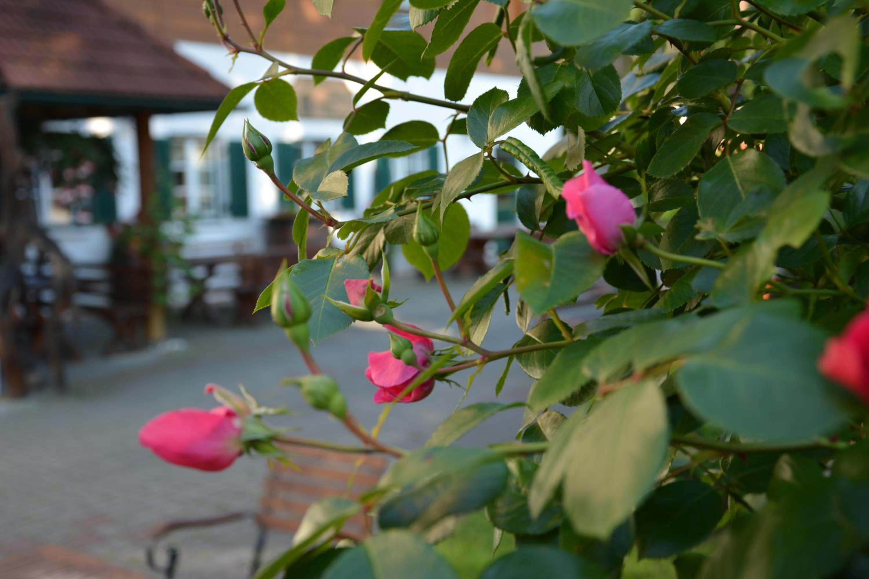 Photo 28