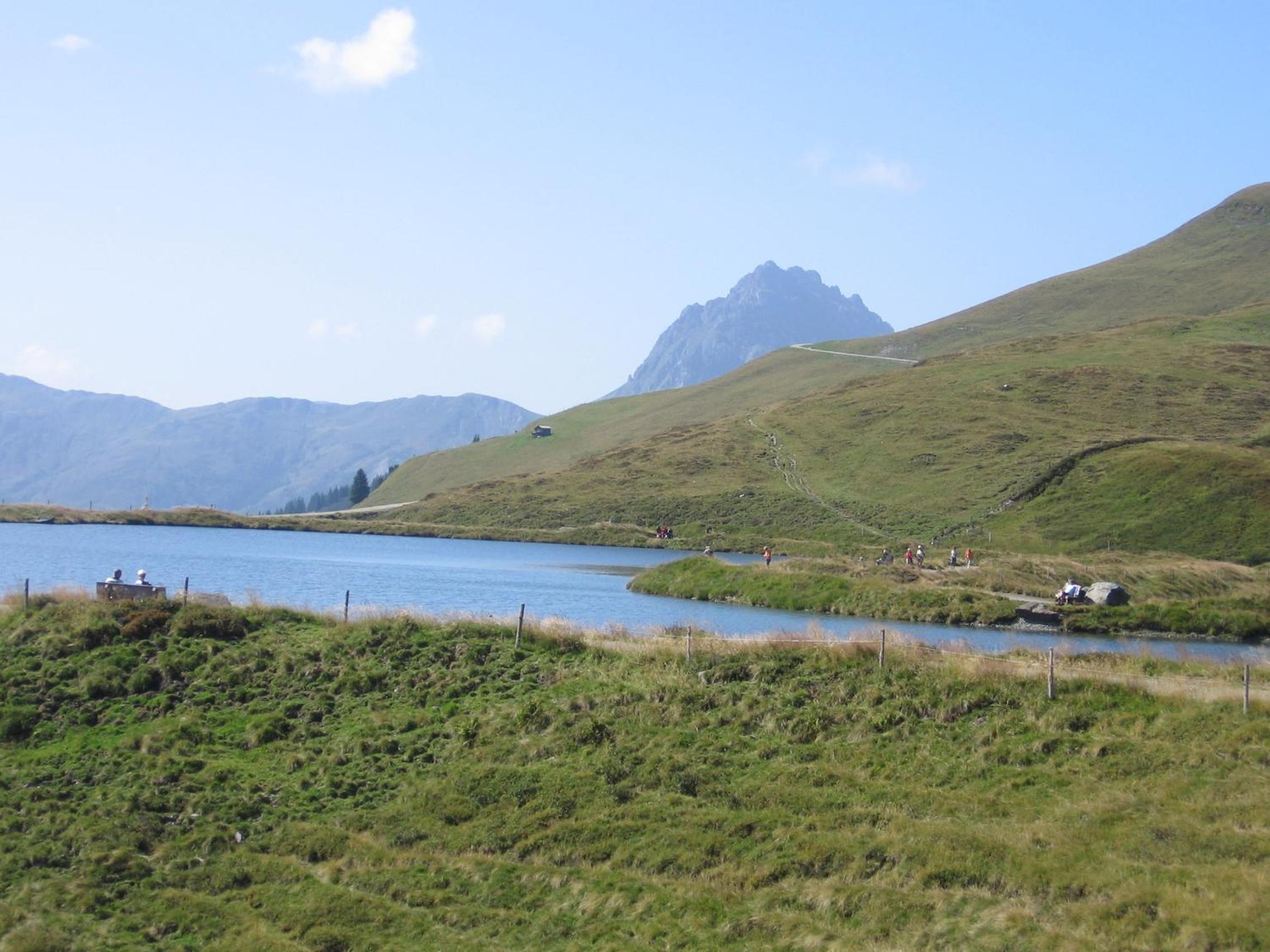 Hohe Tauernblick