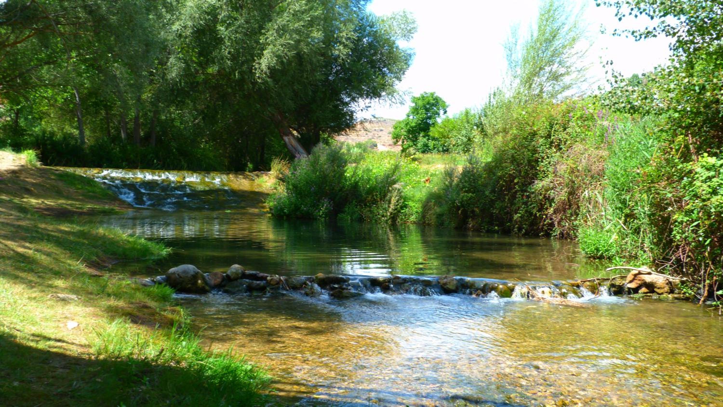 Photo 49