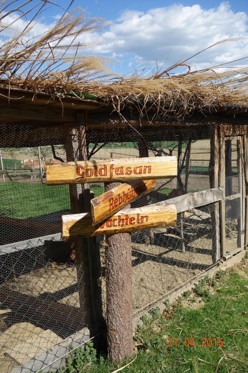 Urlaub am Bauernhof Unger