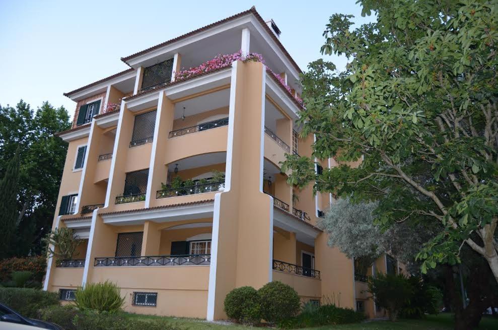 Alegre Apartamento