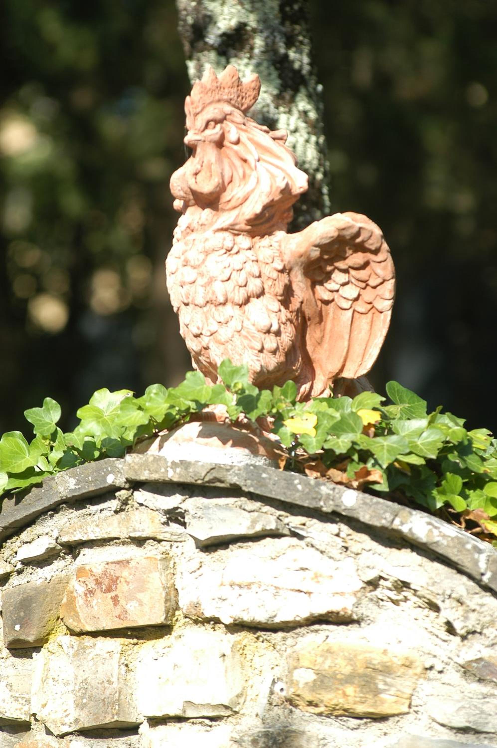 Poggio d'Oro