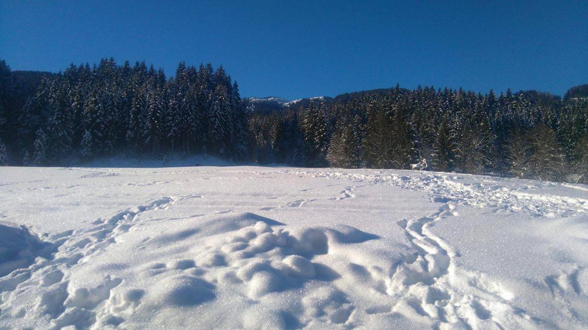Schwaighof