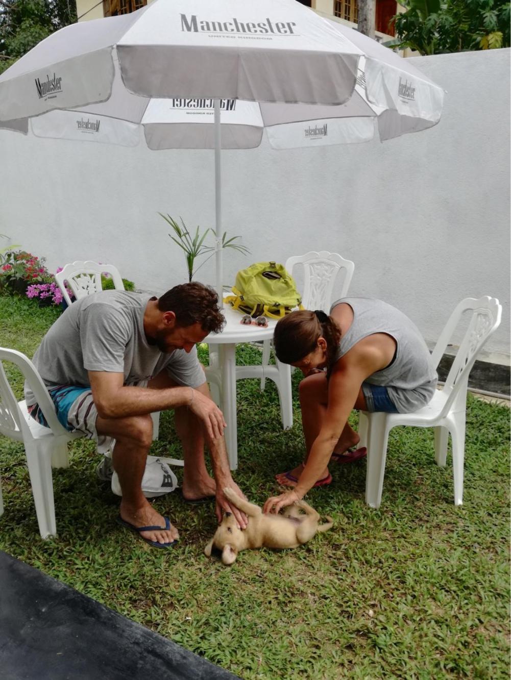Photo 51