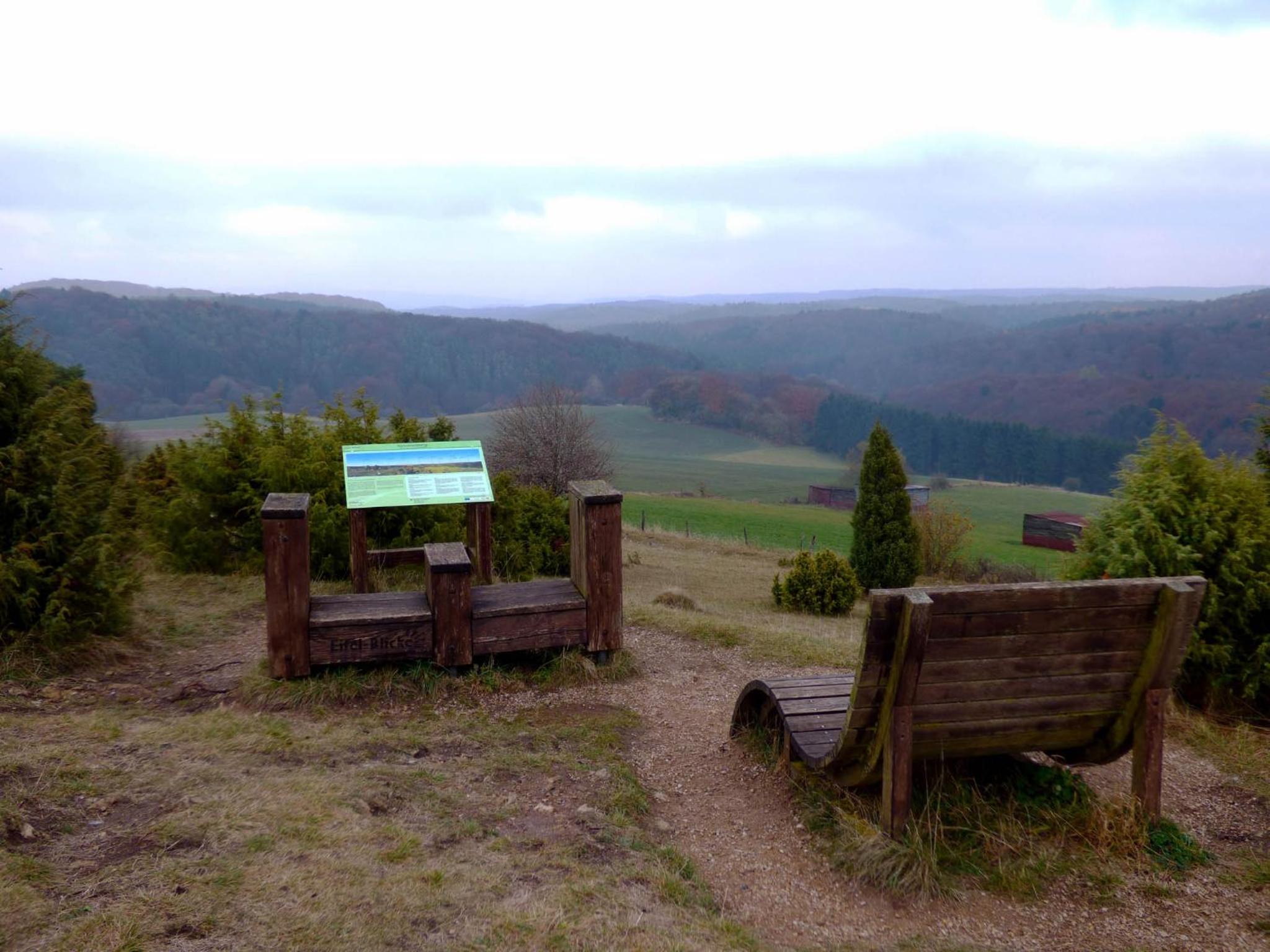 Relaxen am Nationalpark Eifel