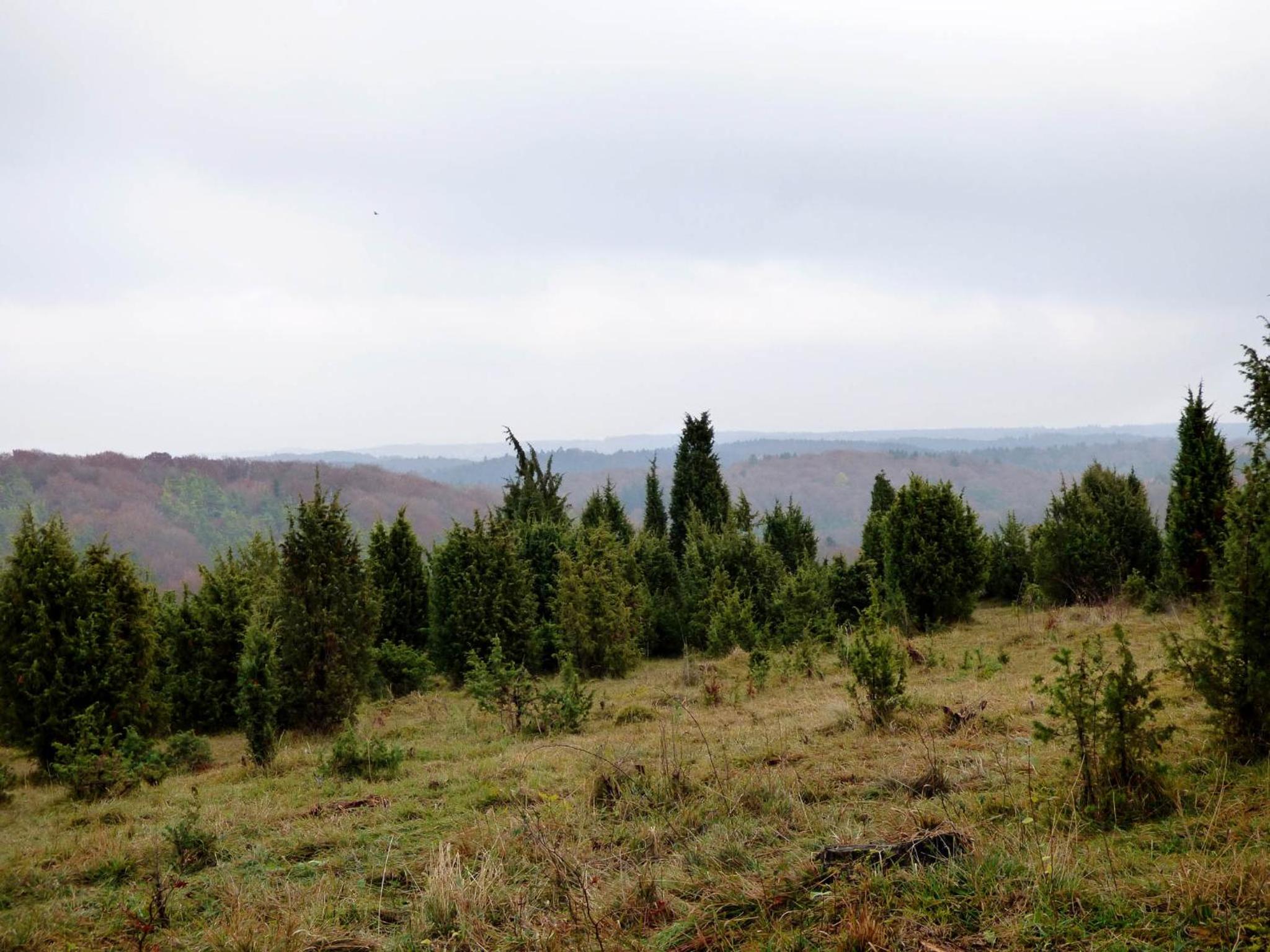 Relaxen am Nationalpark Eifel