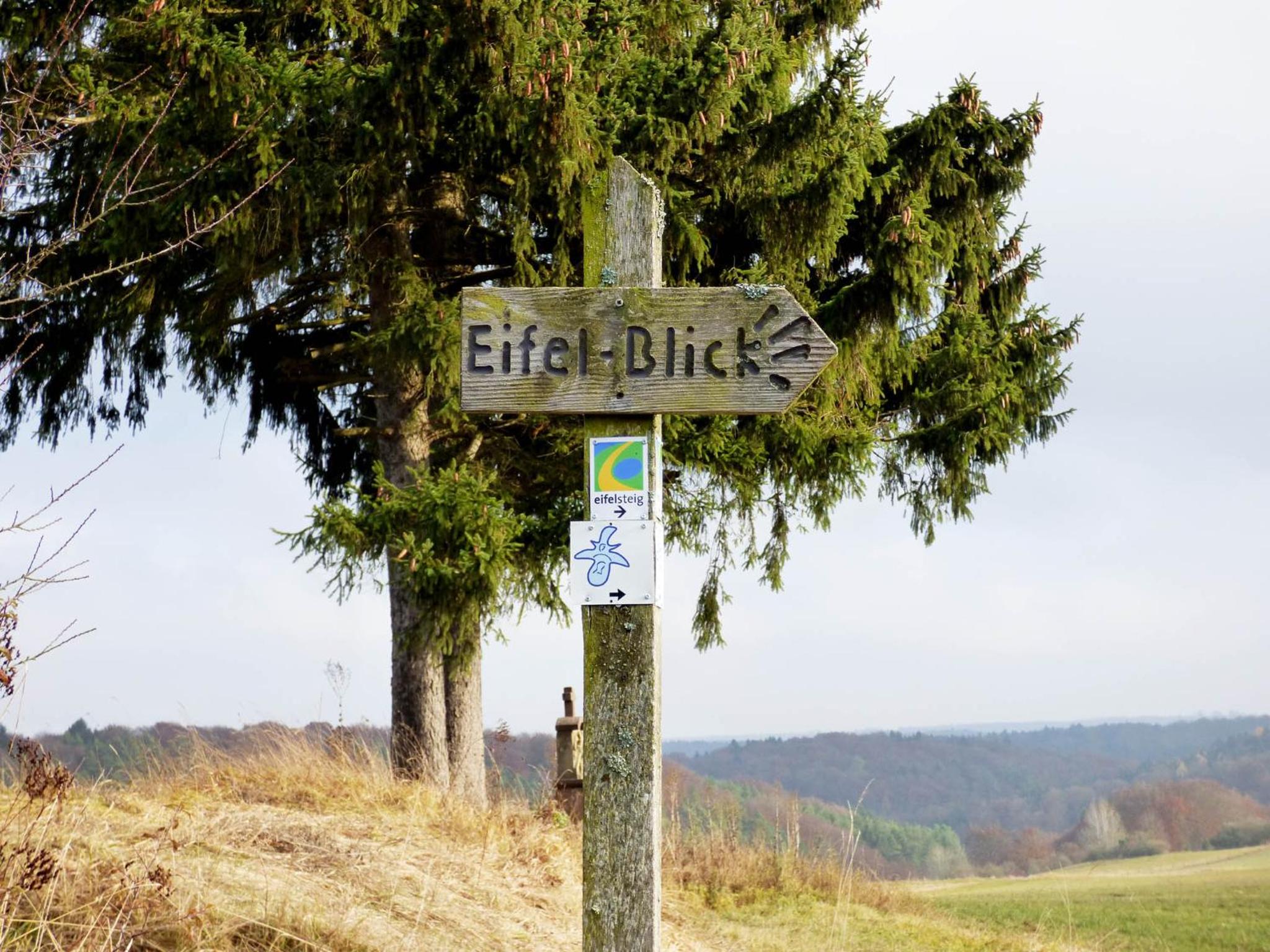 Relaxen am Nationalpark Eifel