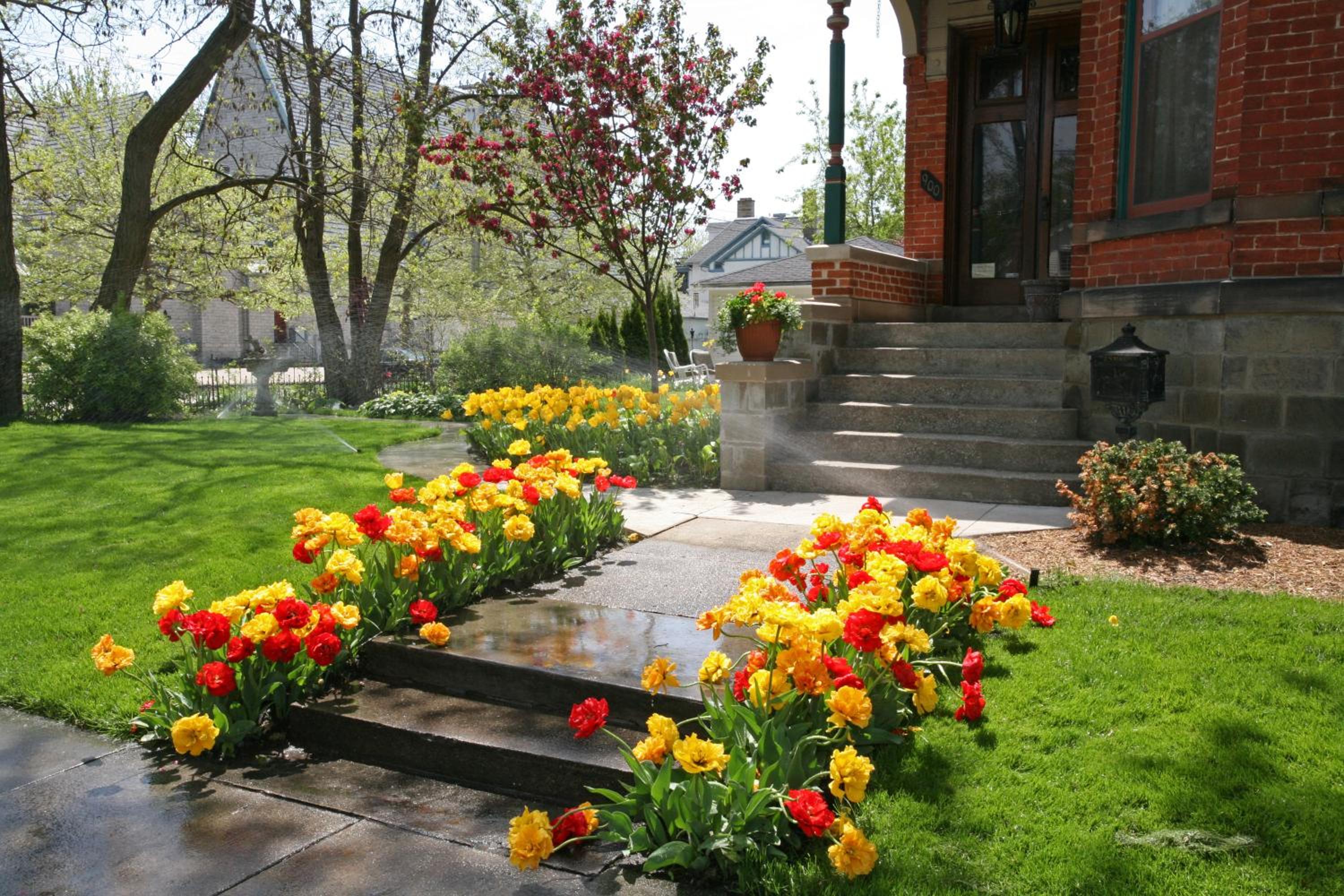 Photo 23