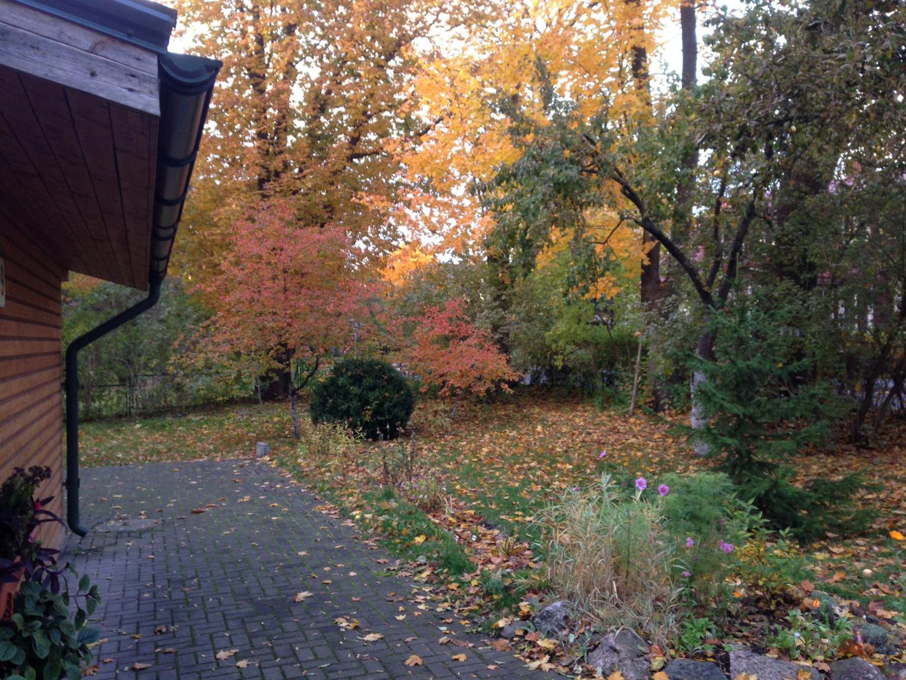 Photo 112