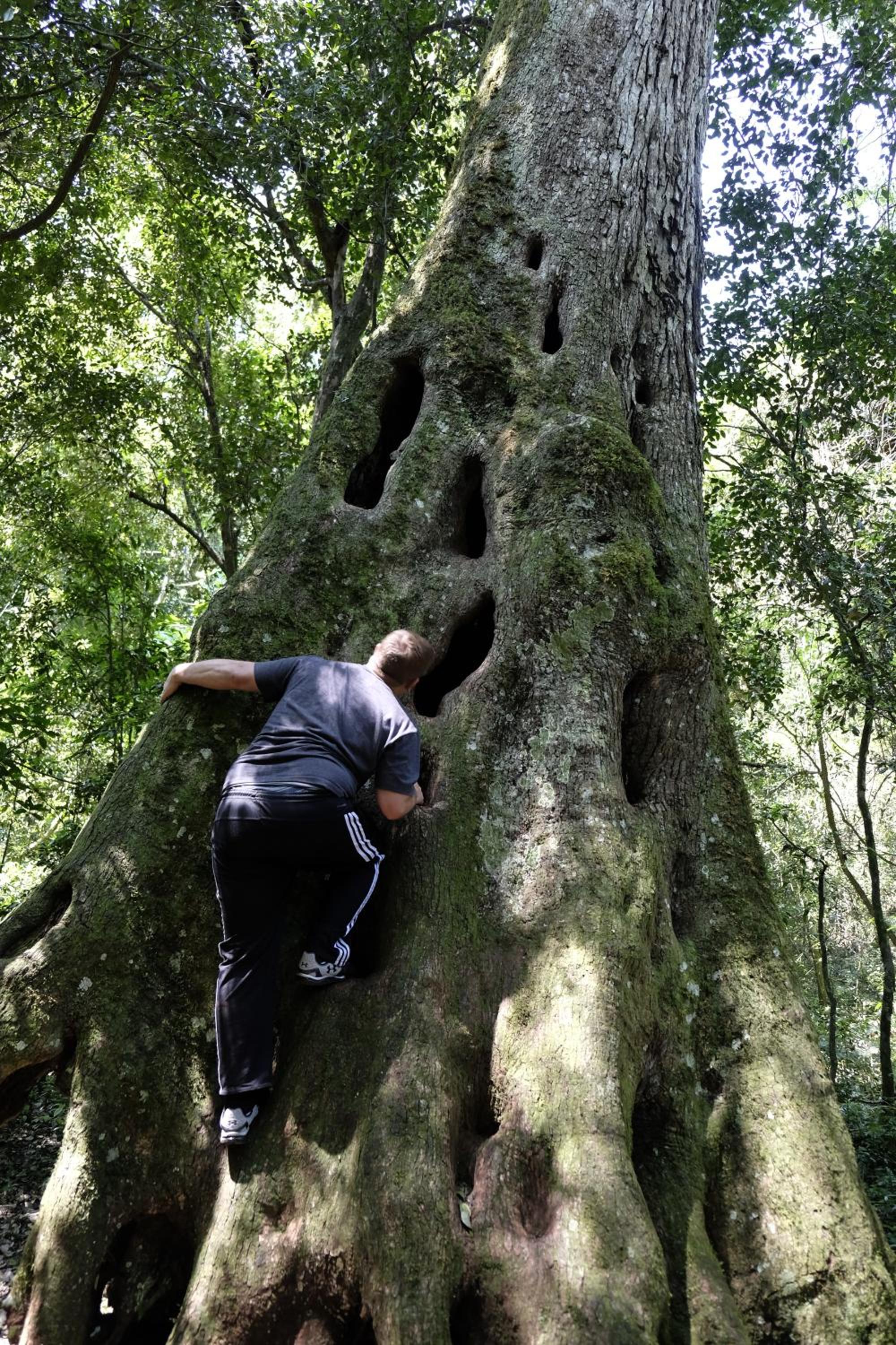 La Mision Mocona - Lodge de Selva