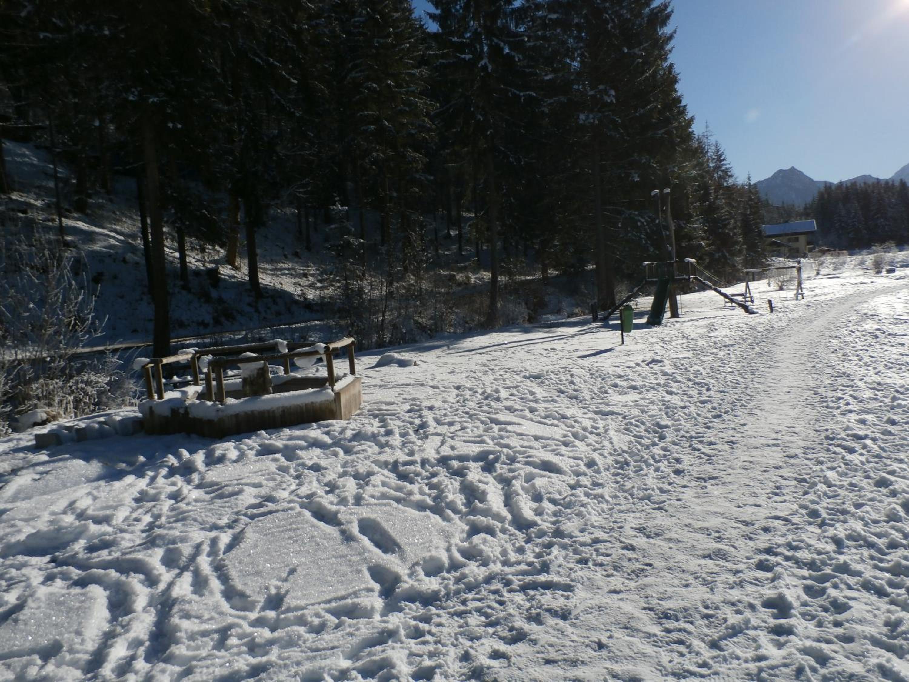 Photo 49