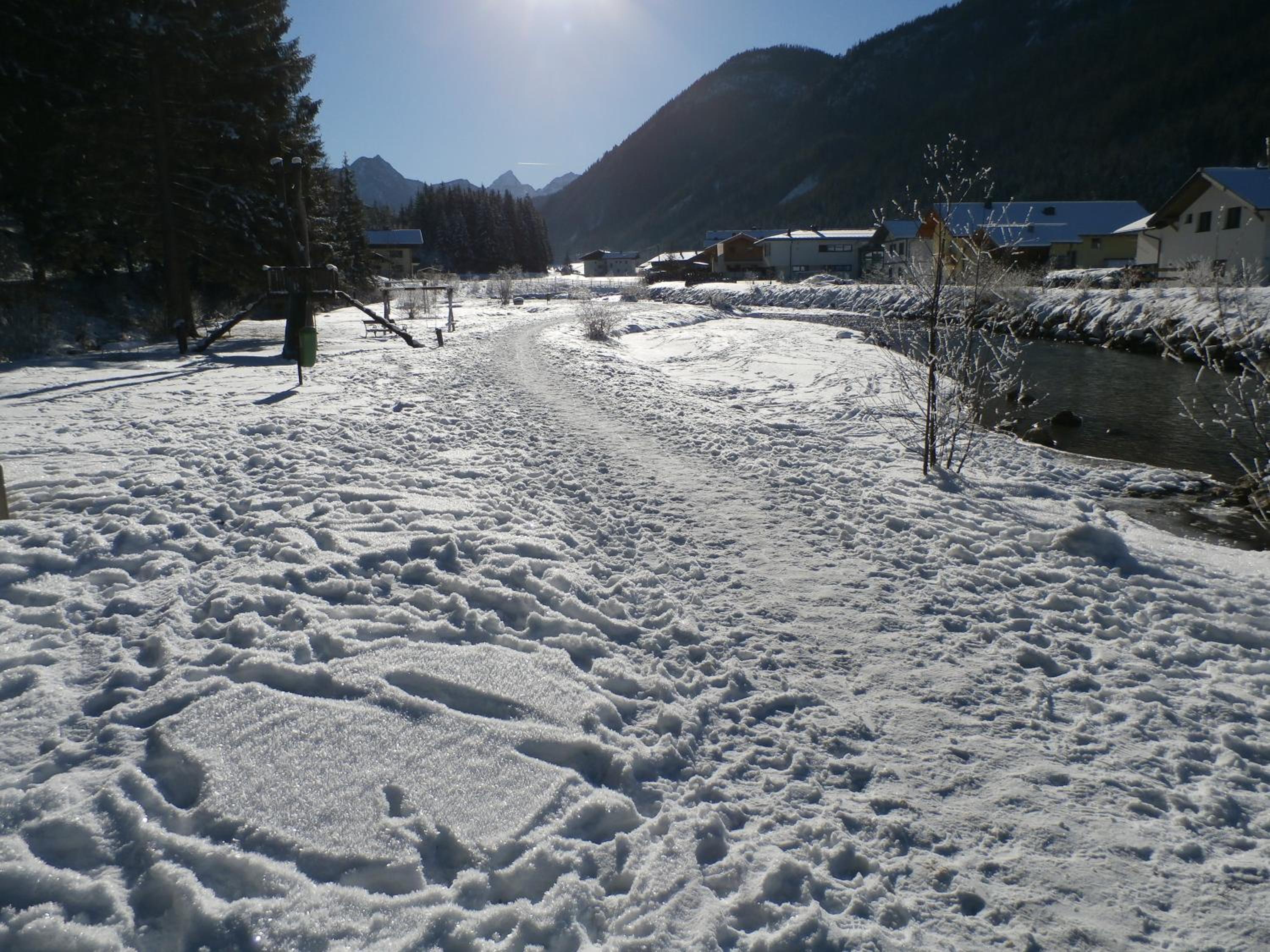 Photo 50