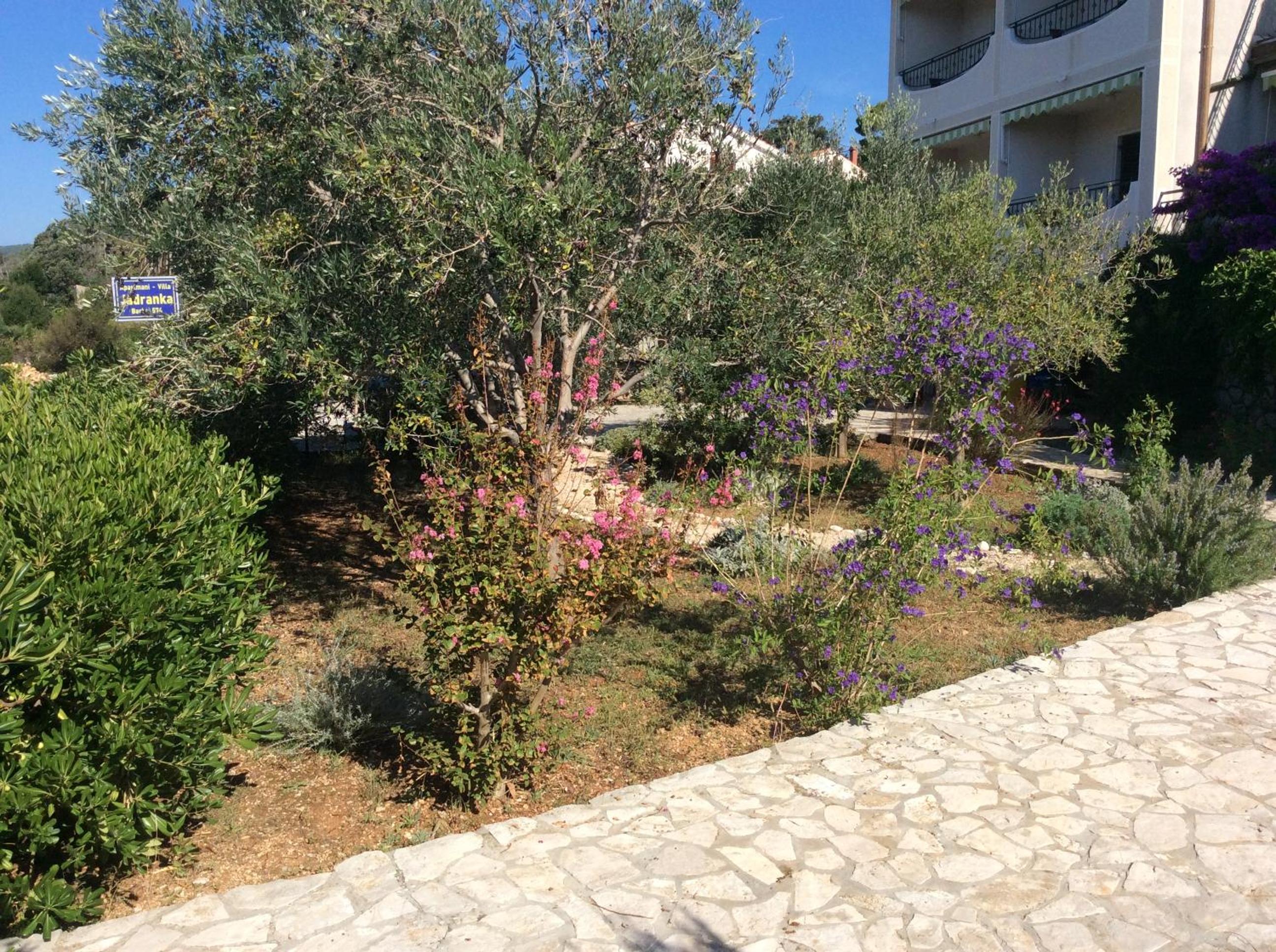 Photo 53