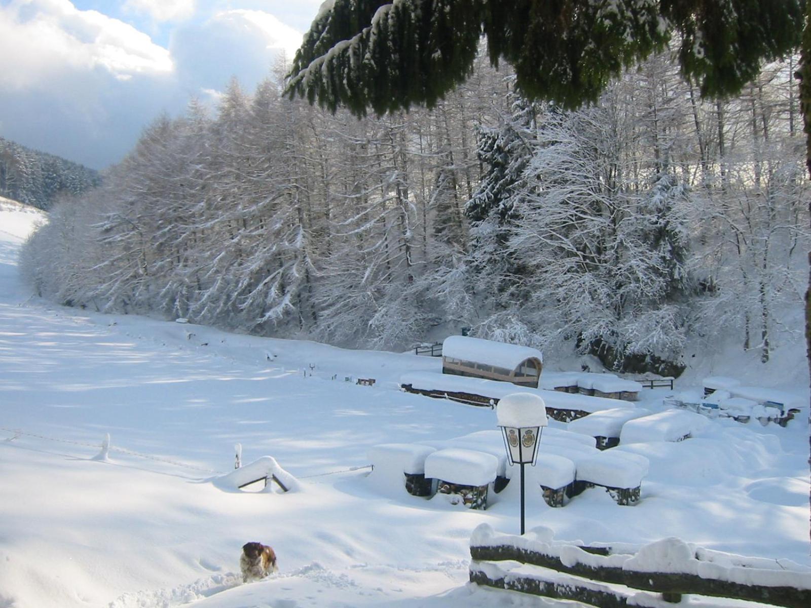 Gasthaus Wollmeiner view 3