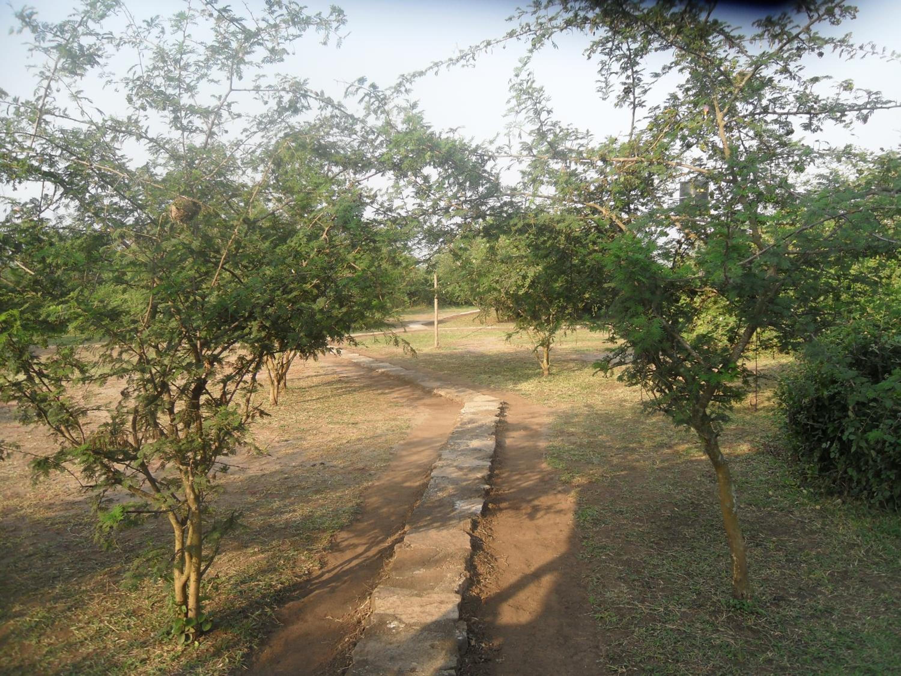 Engiri Game Lodge and Campsite