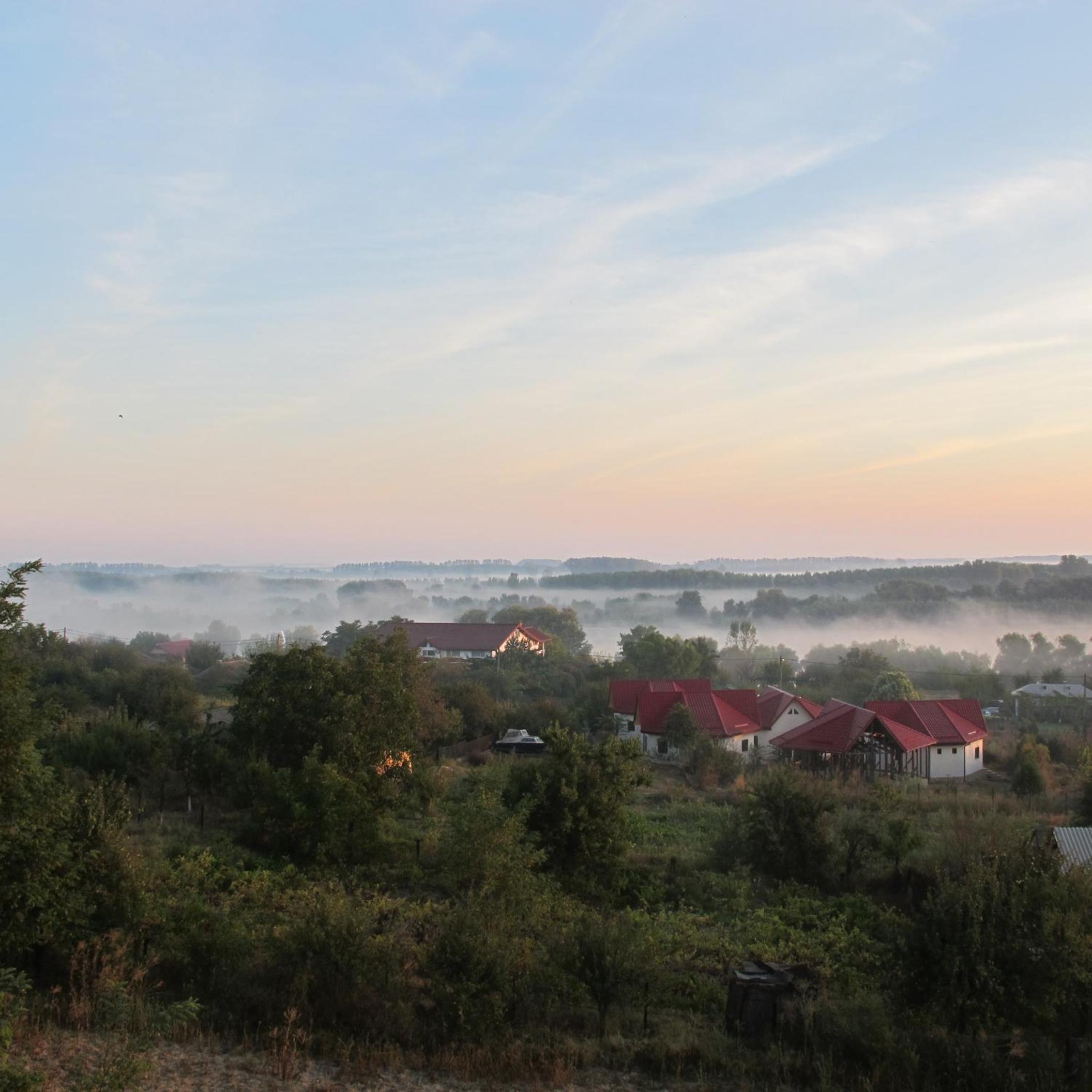 Photo 32