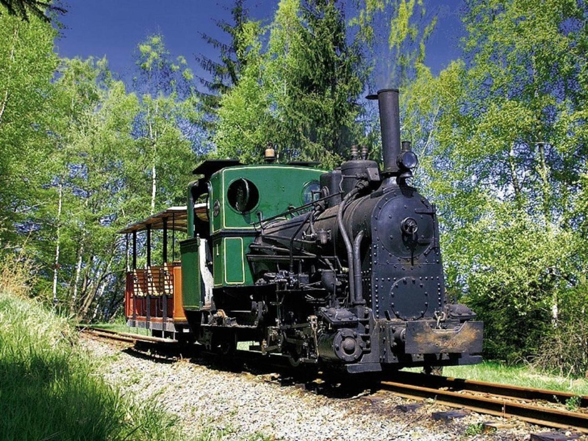 Photo 45