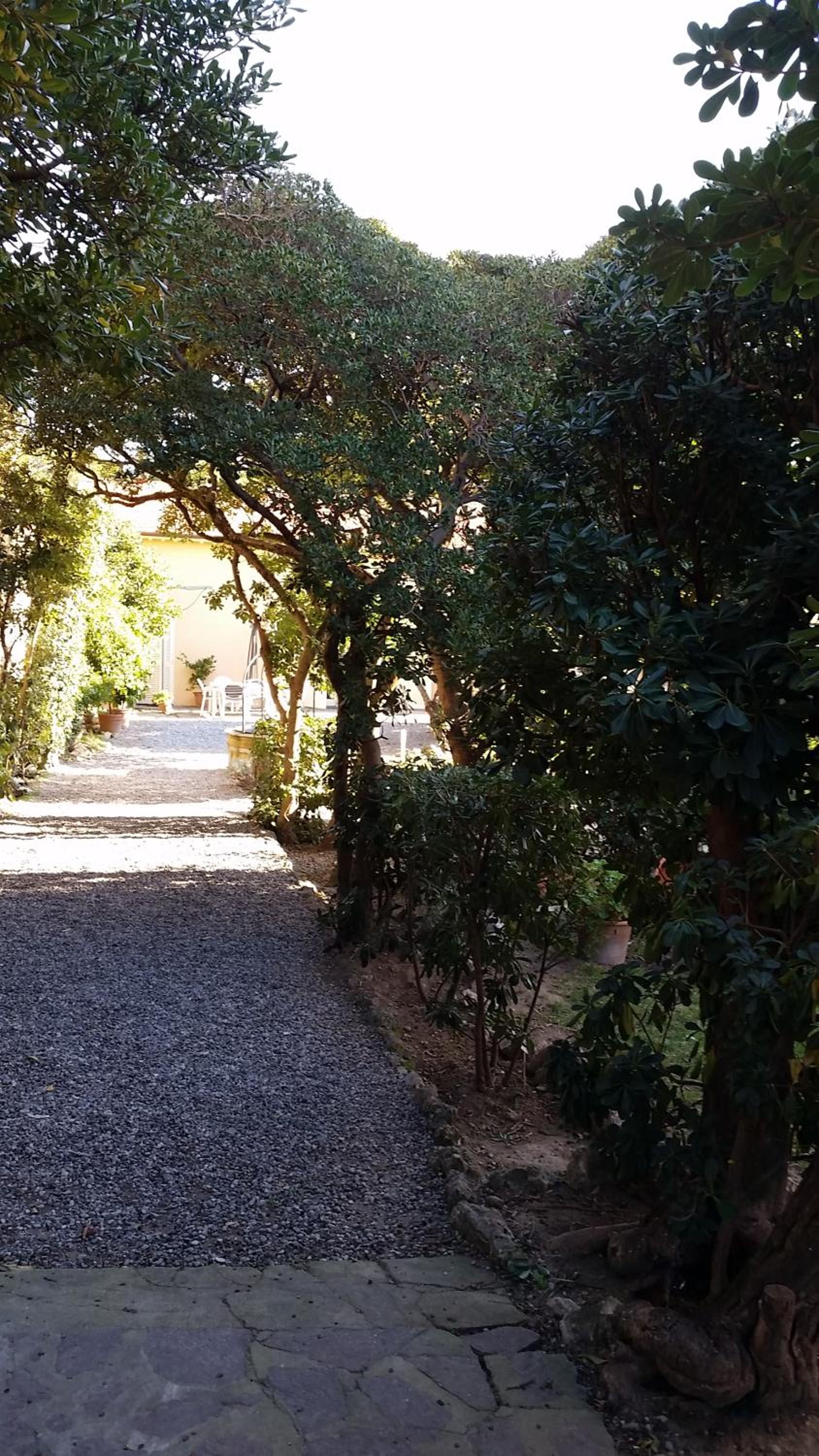 Villa Salvini view 3