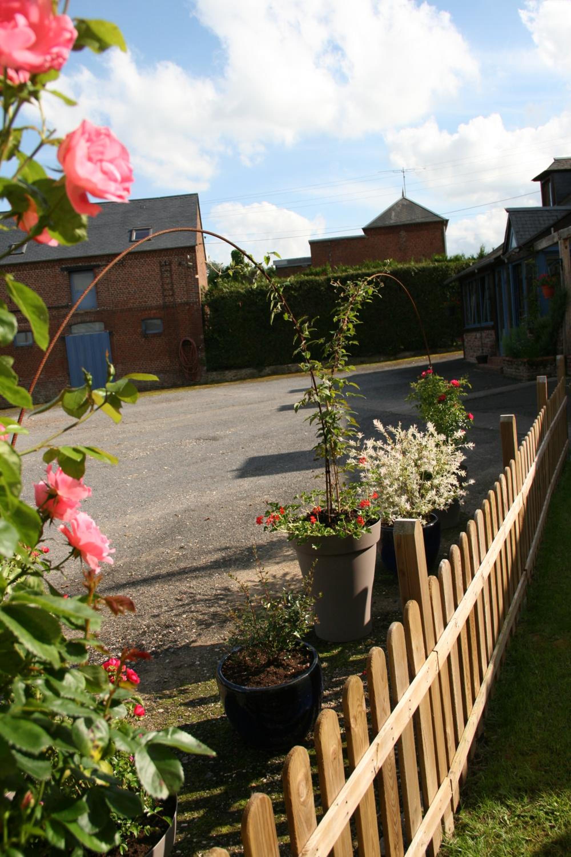 Photo 19