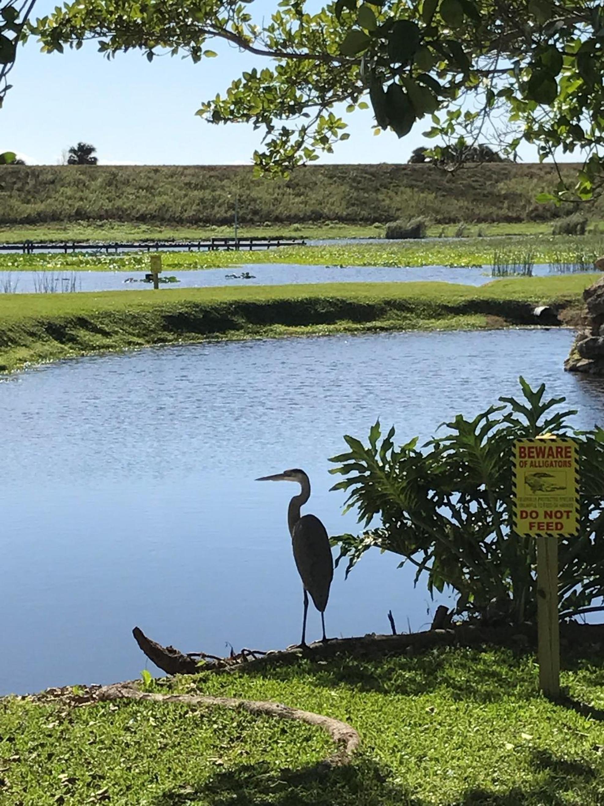 Photo 77