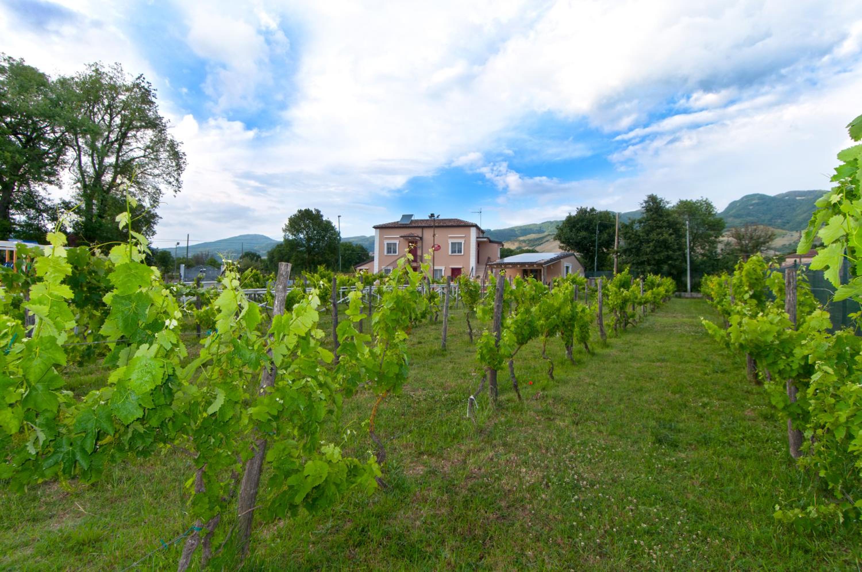 Ca' del Conte - Maison de Charme