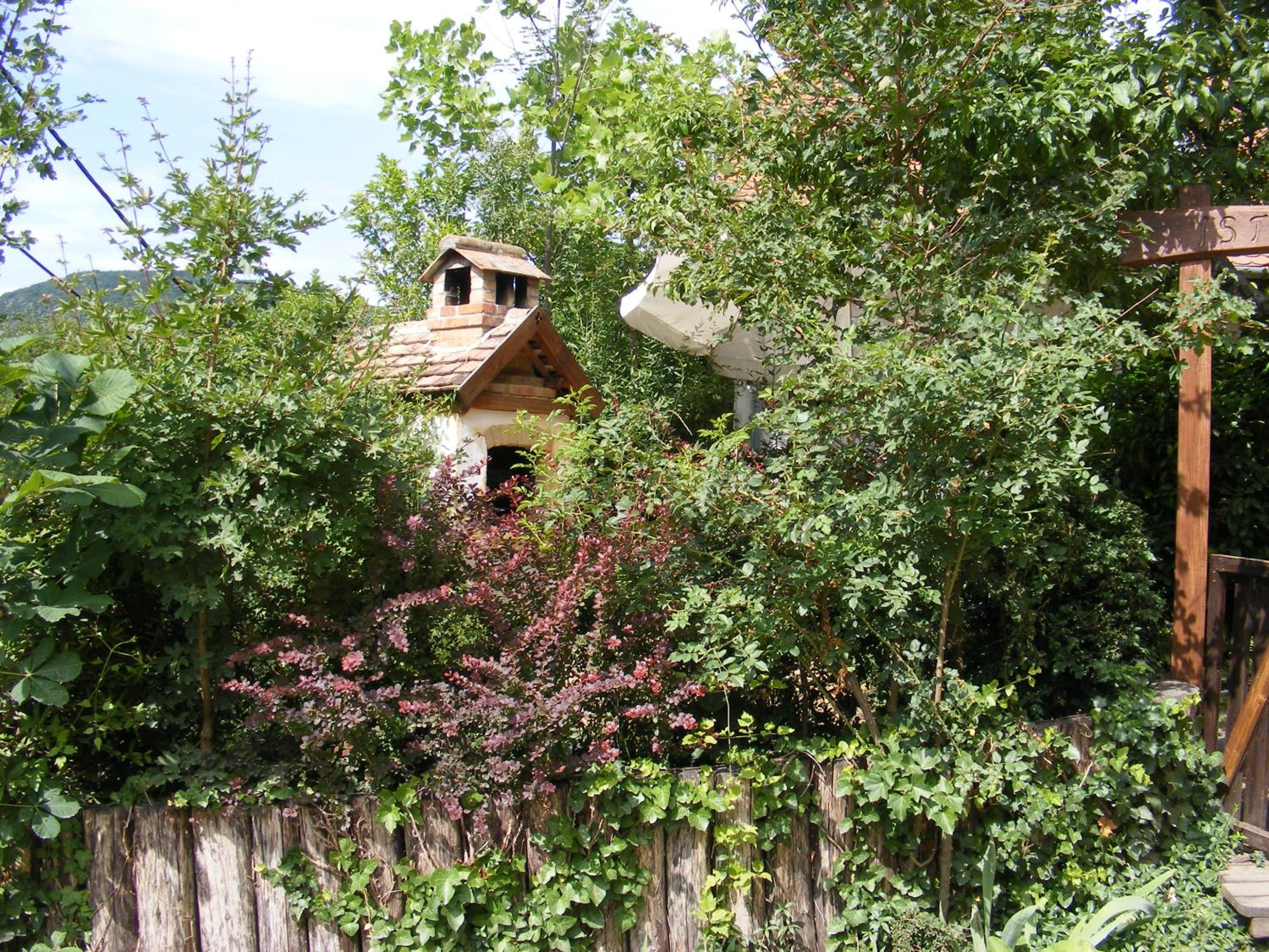 Photo 16