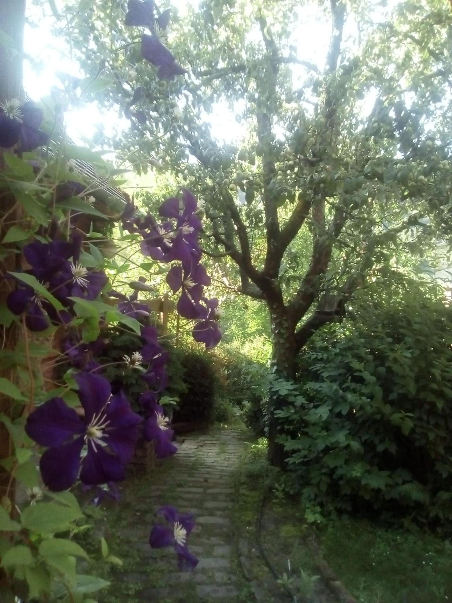Photo 23